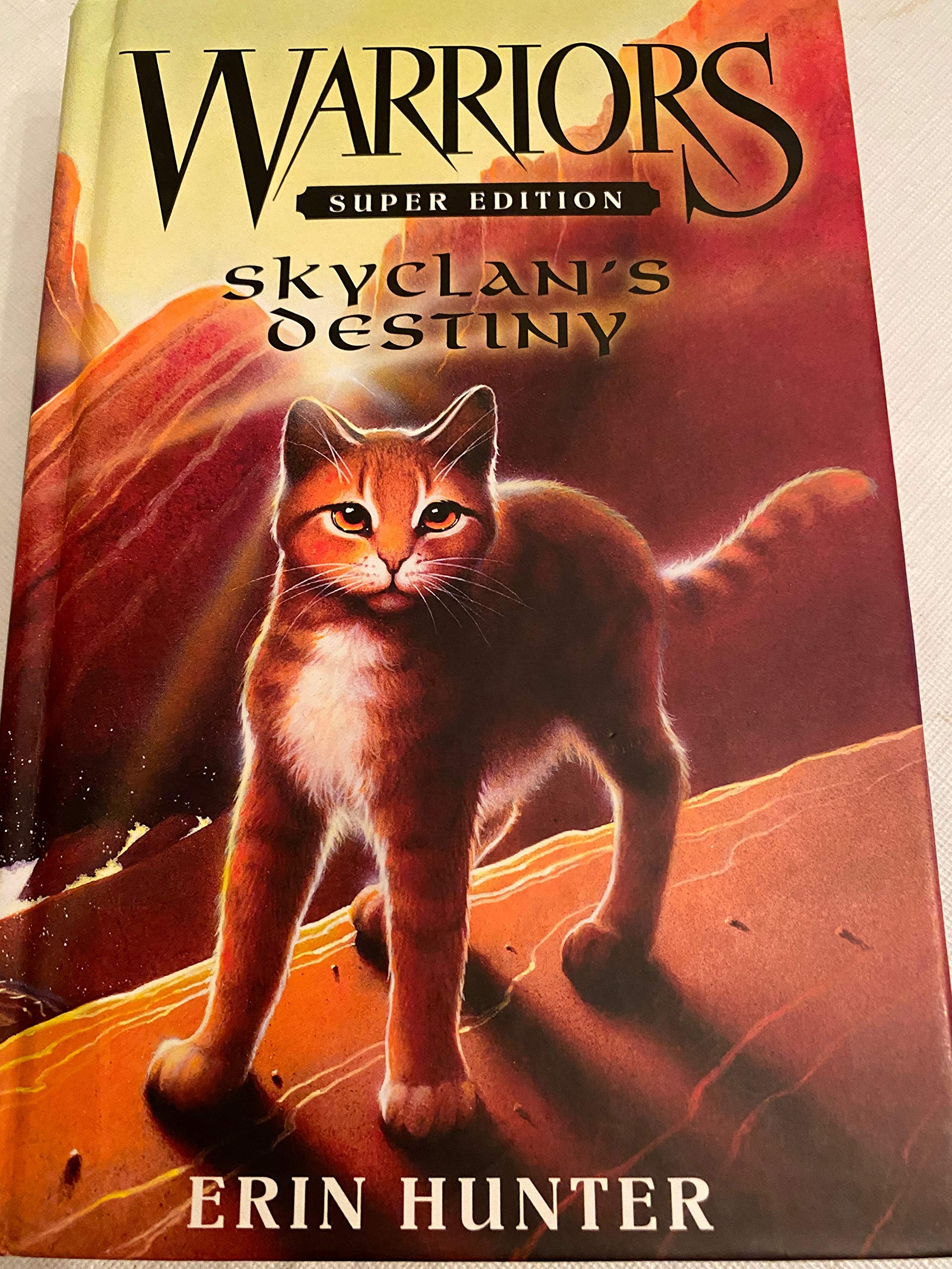 Warriors Super Edition: SkyClan's Destiny (Warriors Super Edition, 3, Band 3) Non-fiction