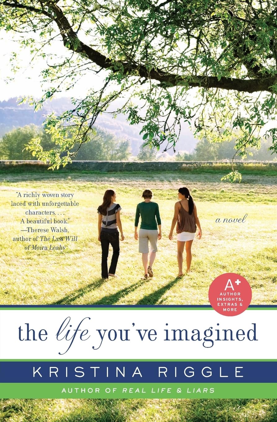 The Life You've Imagined: A Novel book