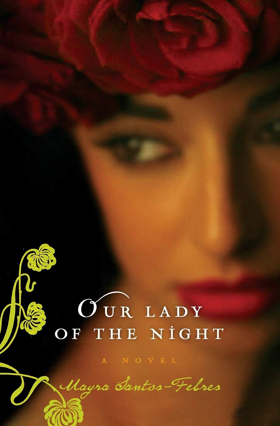 Our Lady of the Night: A Novel book