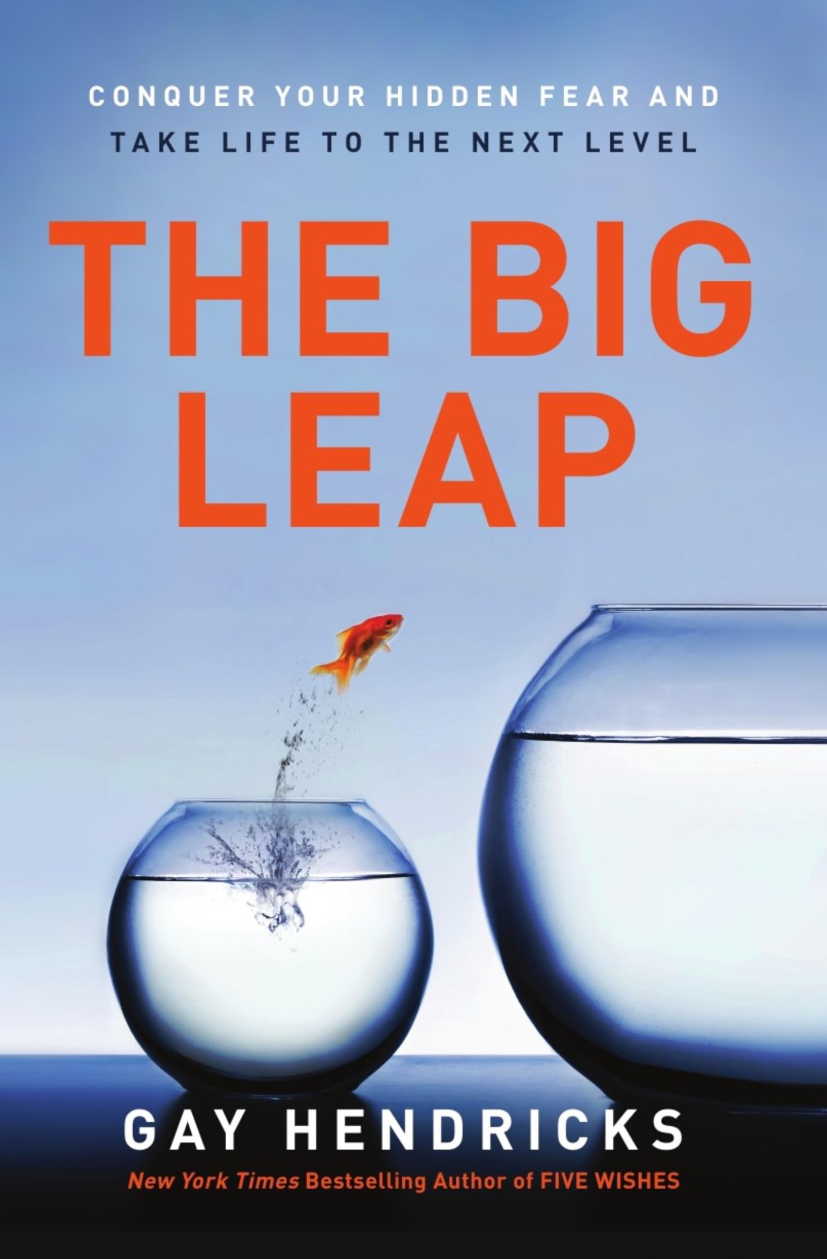 Product Image: Big Leap, The