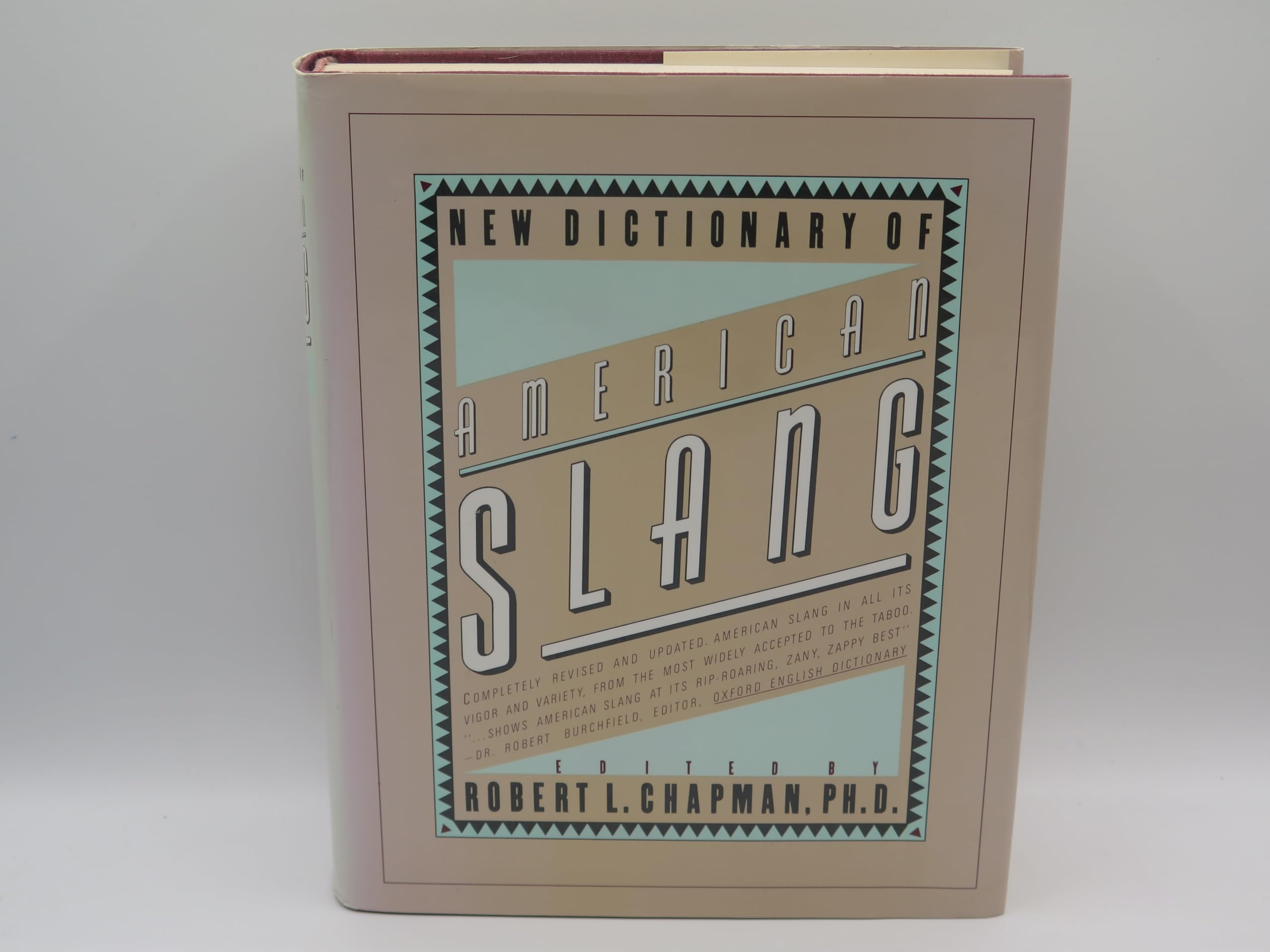 New Dictionary of American Slang Social Sciences