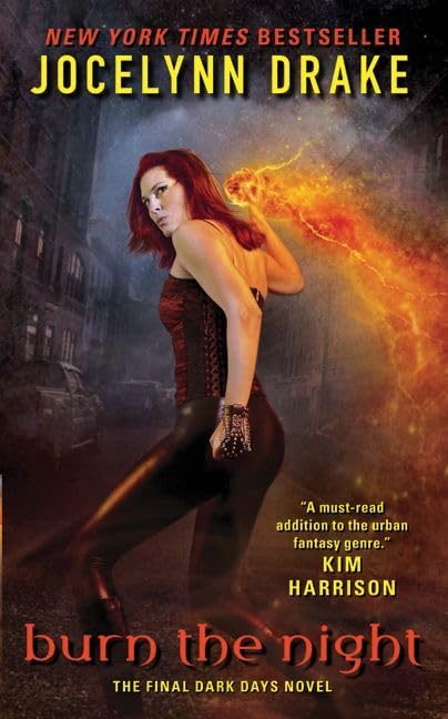 Burn the Night: The Final Dark Days Novel Action & Adventure