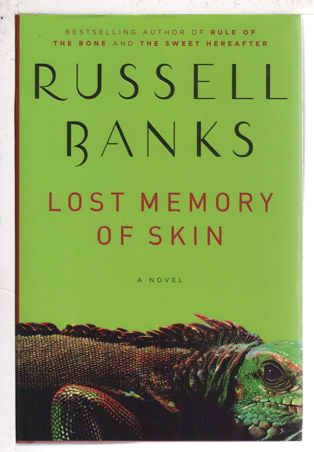 Lost Memory of Skin: A Novel Contemporary literature