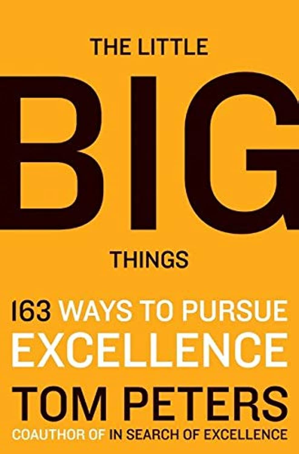 The Little Big Things Books