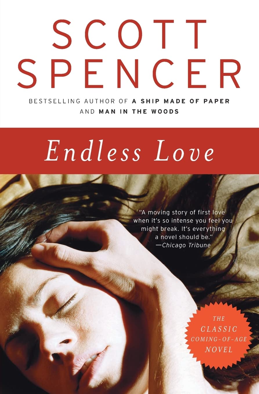 Endless Love: A Novel (P.S.): The Classic Love Story of Teenage Passion and Dangerous Obsession Contemporary literature
