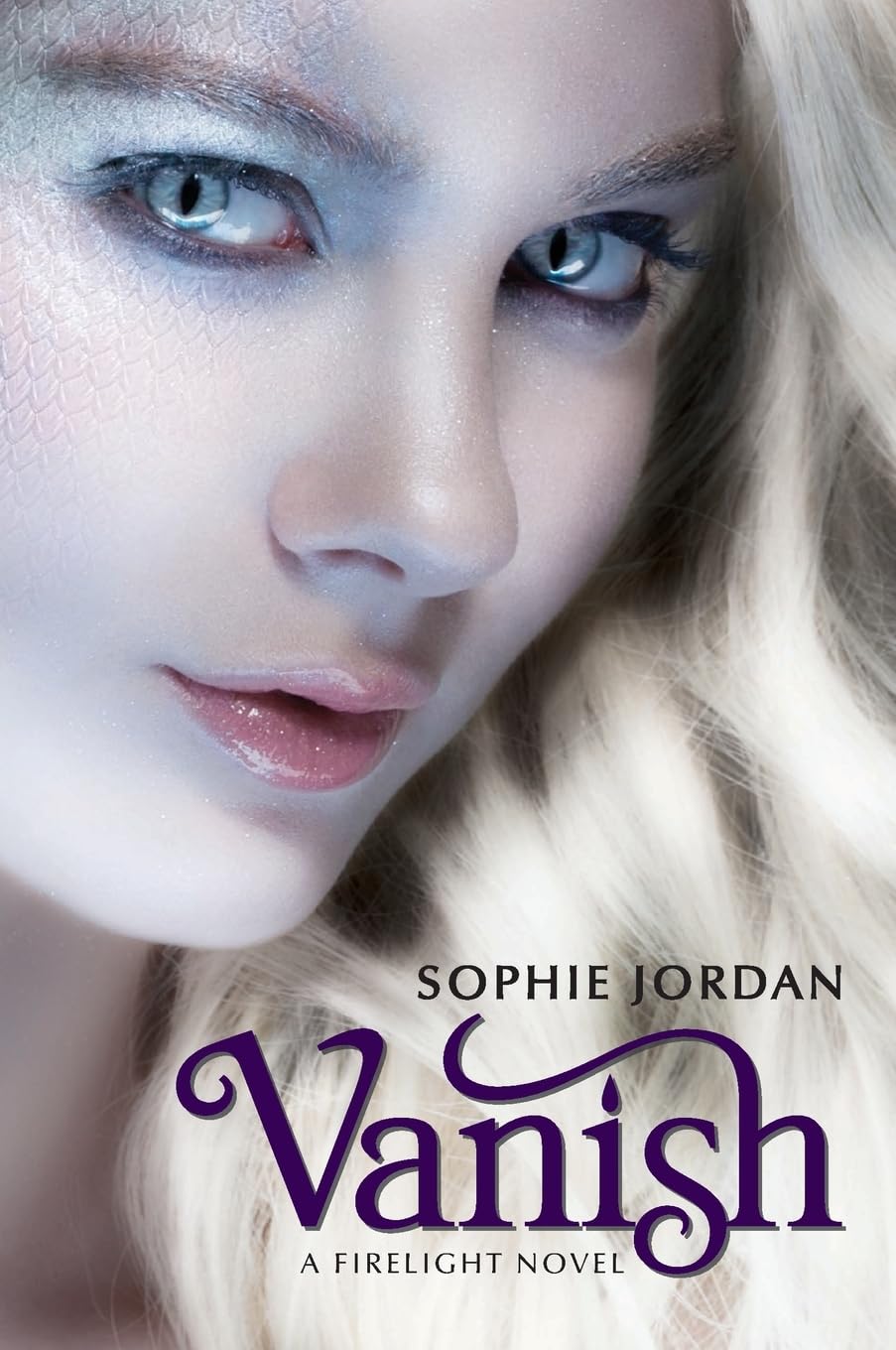 Vanish (Firelight, 2, Band 2) Contemporary literature