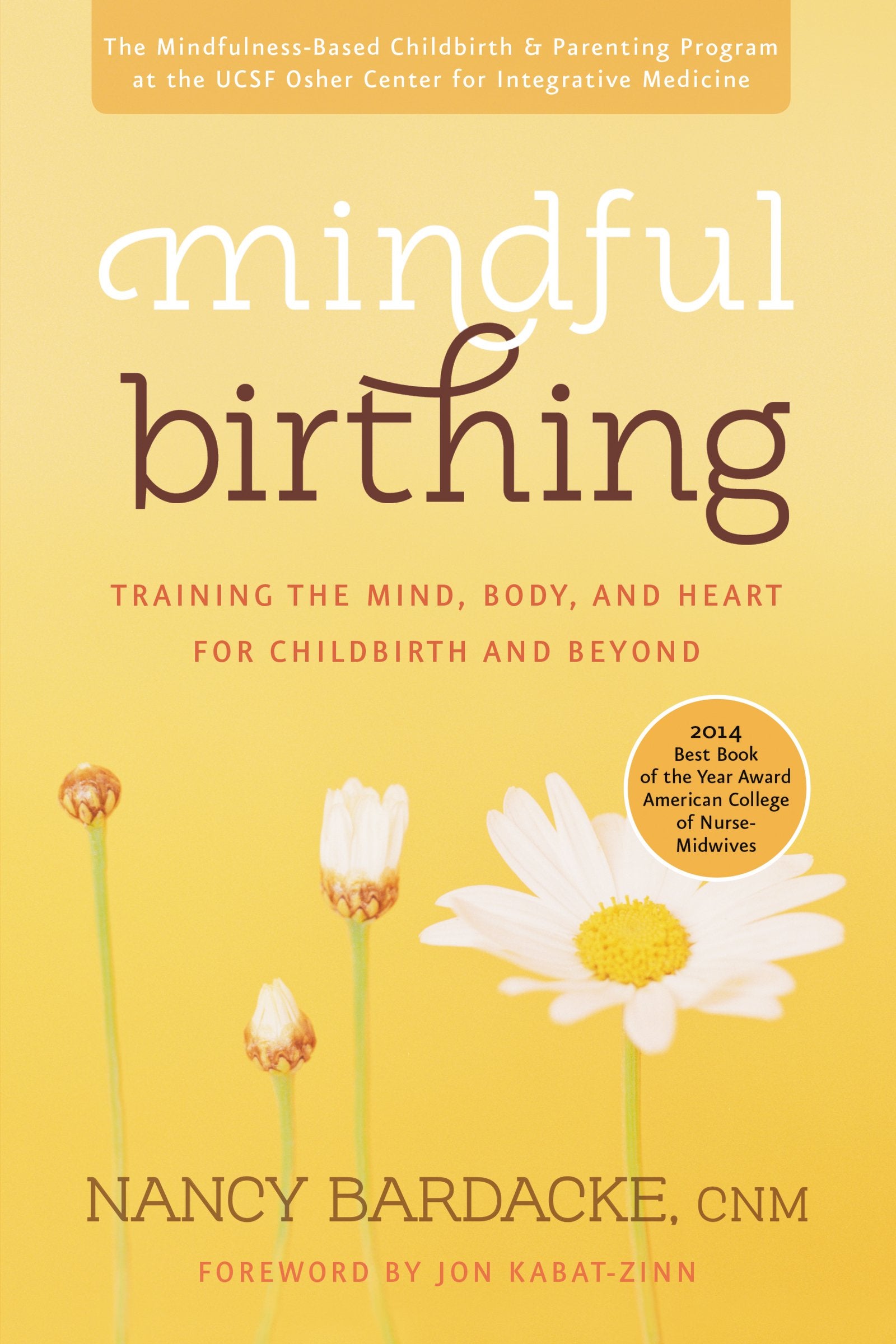 Mindful Birthing Medicine