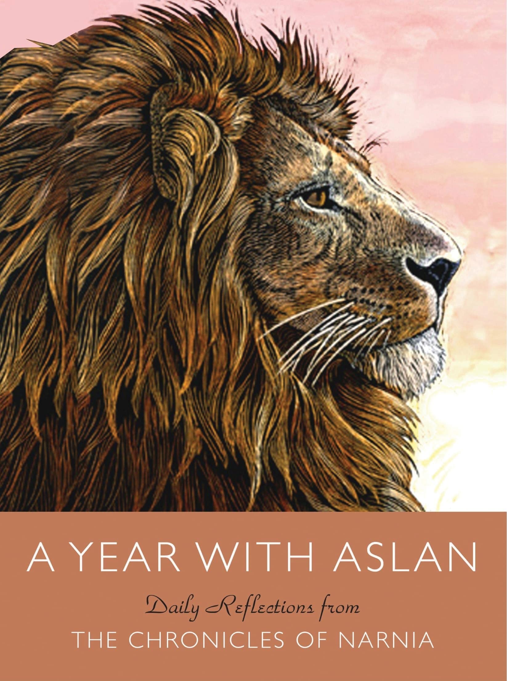 A Year with Aslan: Daily Reflections from The Chronicles of Narnia Contemporary literature