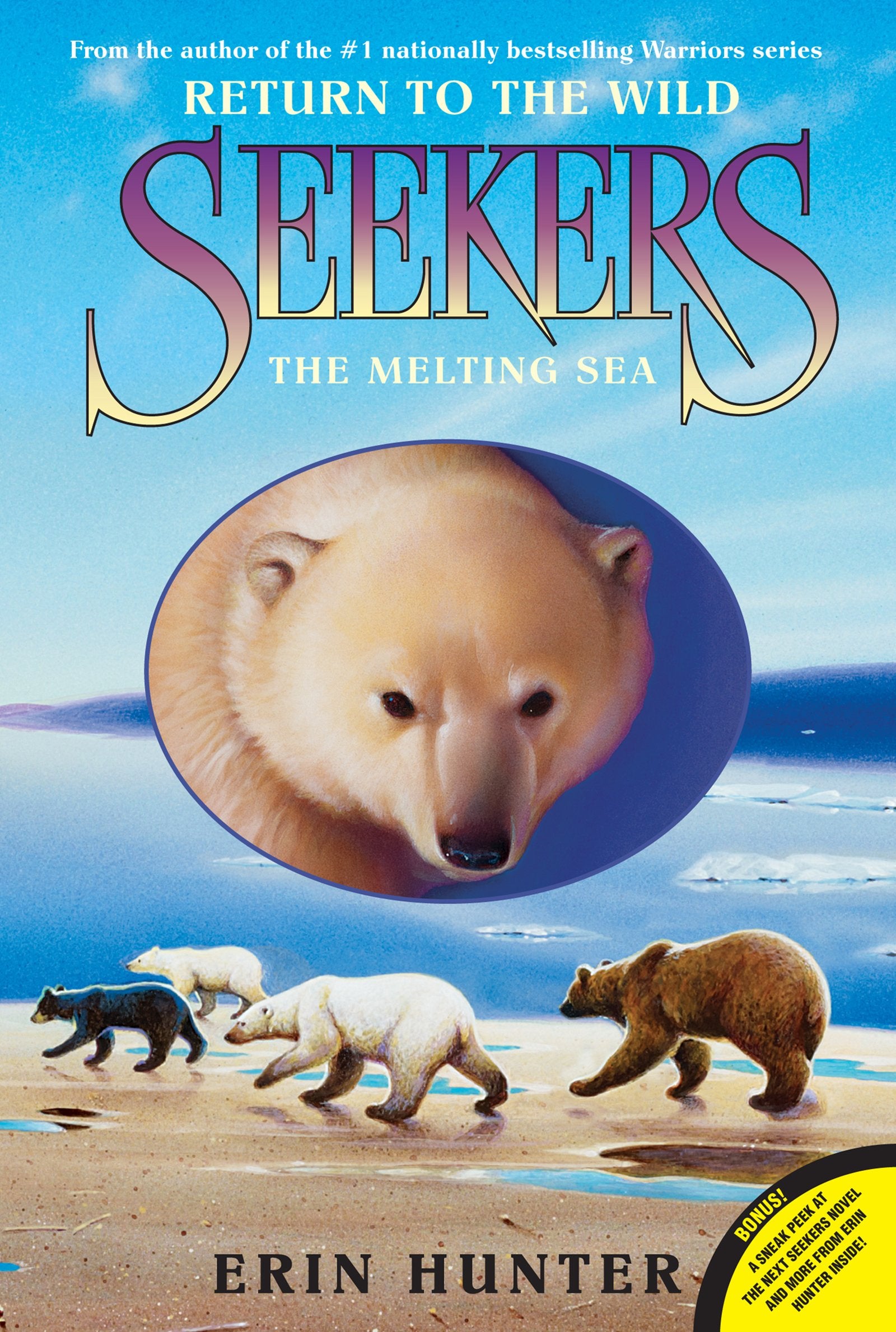 Product Image: The Melting Sea