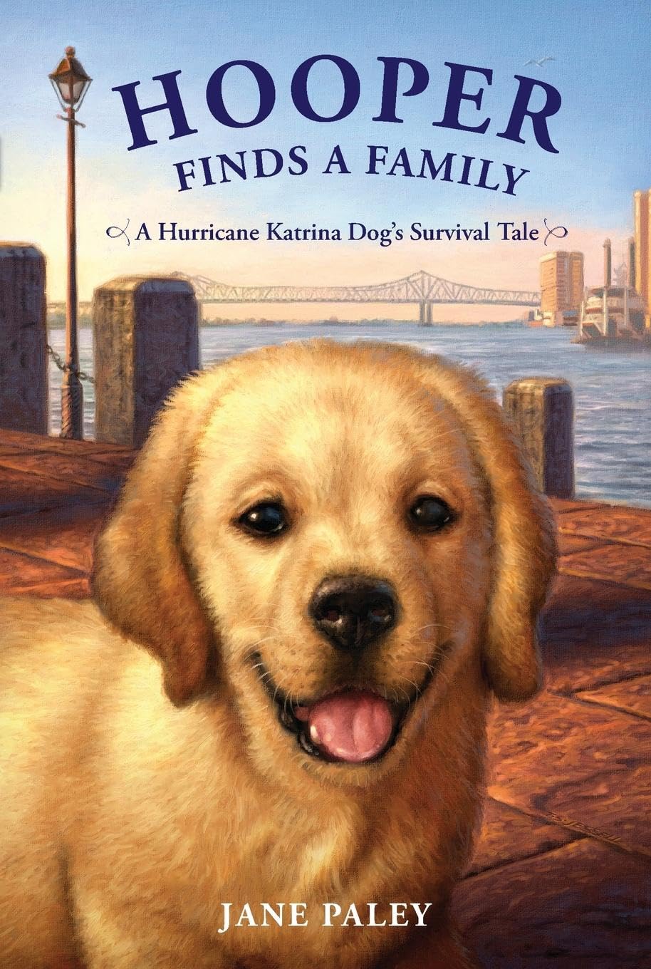 Hooper Finds a Family: A Hurricane Katrina Dog's Survival Tale Business & Technology