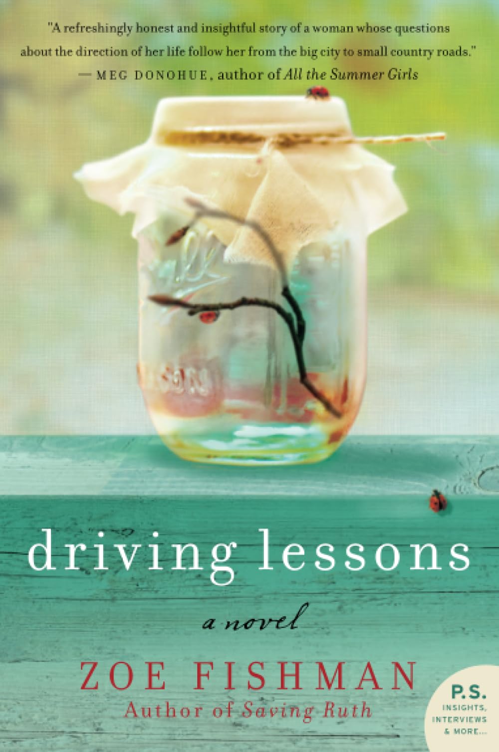 Driving Lessons Contemporary literature