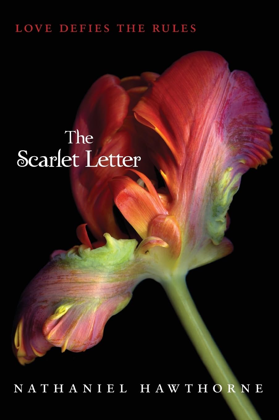 The Scarlet Letter: Hawthorne's Masterpiece of Dark Romanticism - A Timeless Young Adult Novel of Forbidden Love book