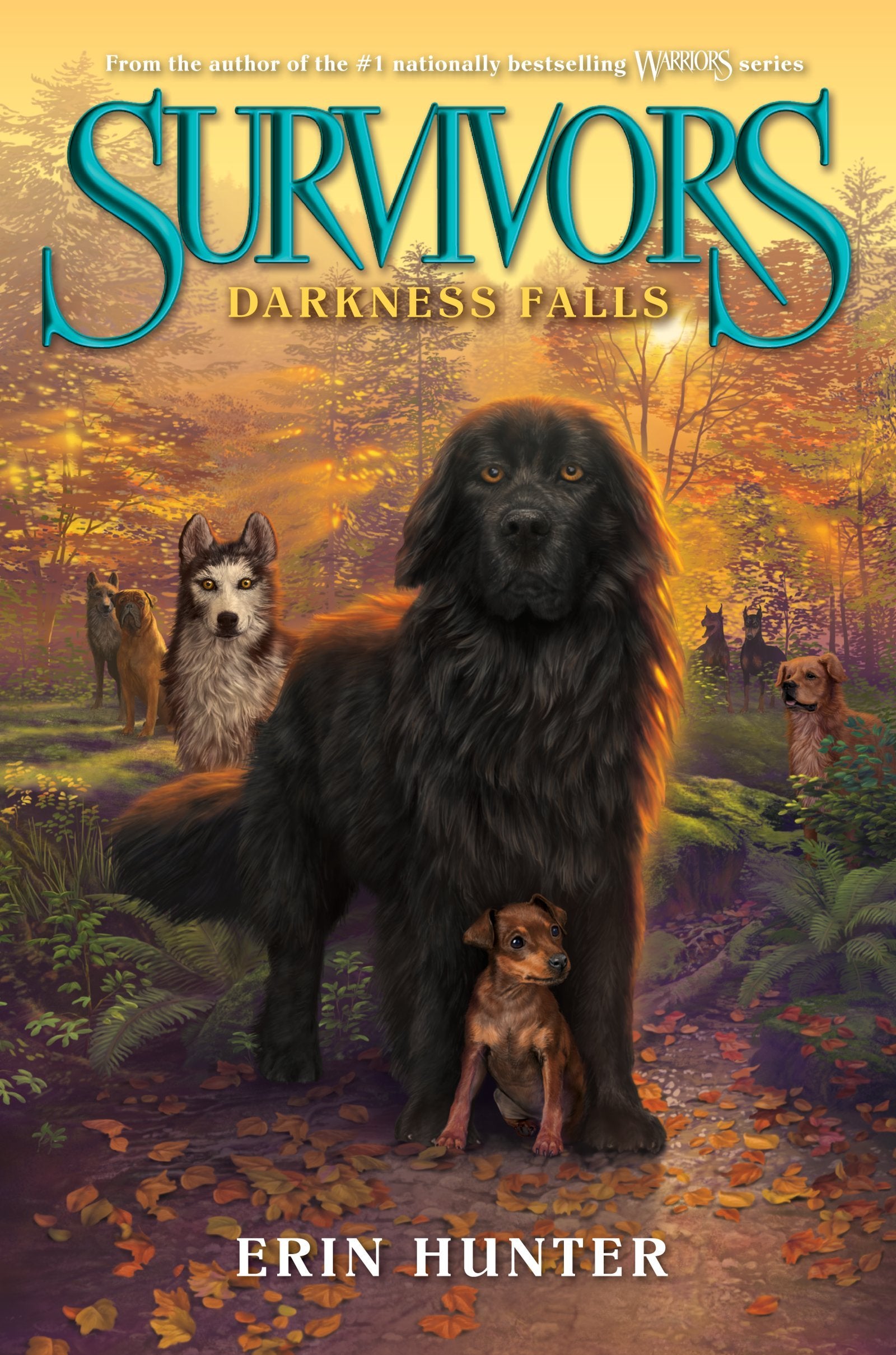 Product Image: Survivors #3: Darkness Falls