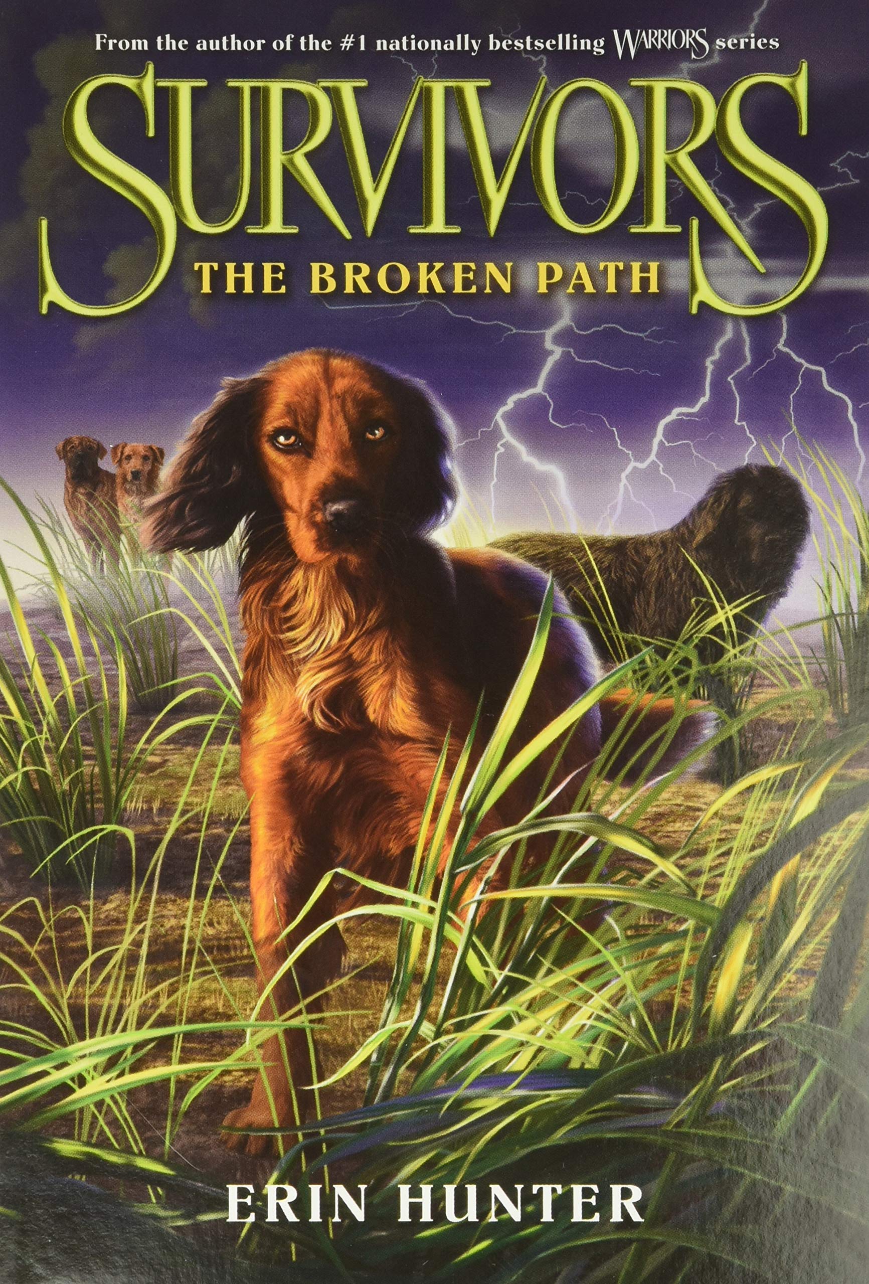 Survivors 04: The Broken Path Non-fiction