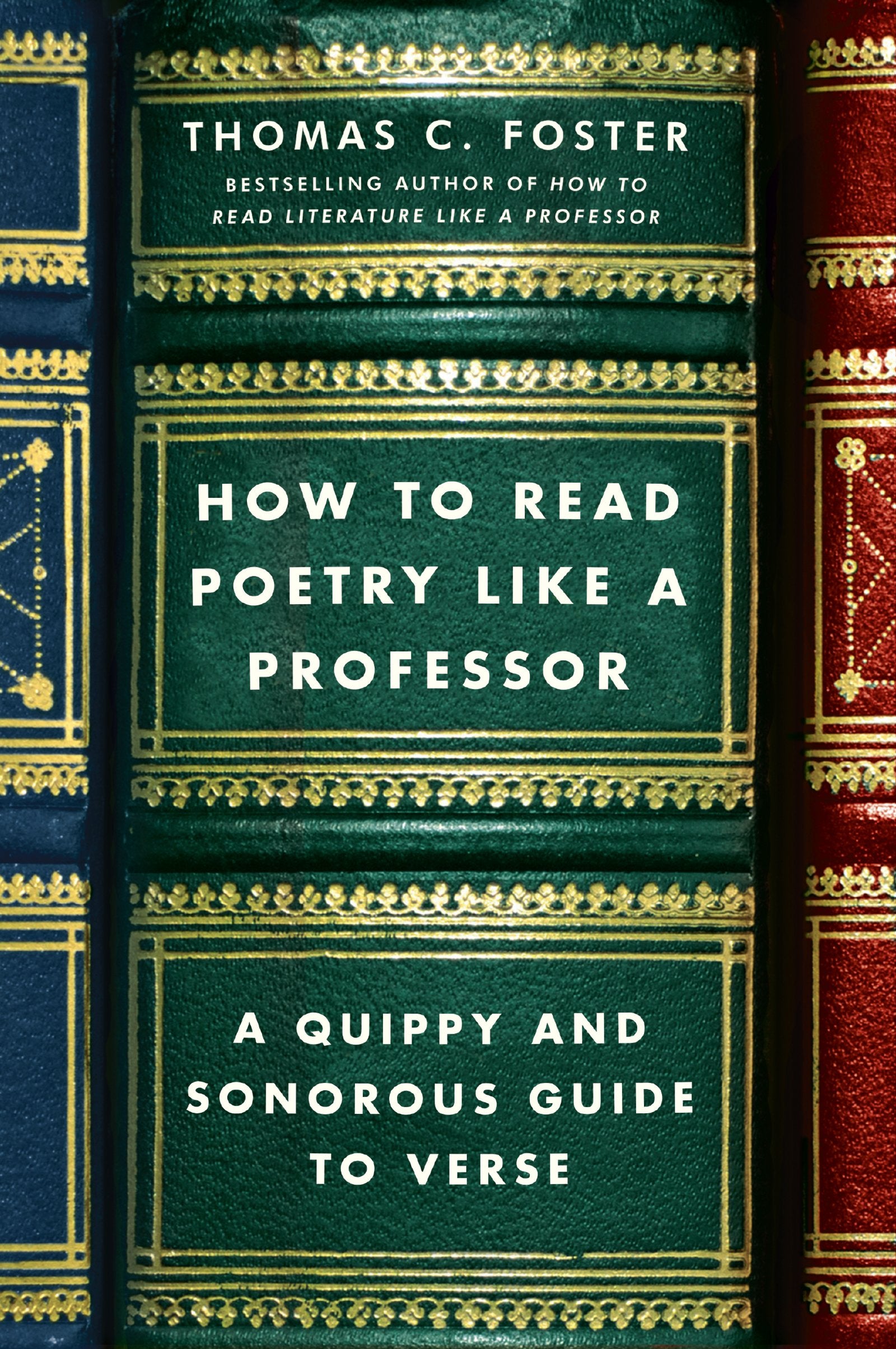 How to Read Poetry Like a Professor Social Sciences