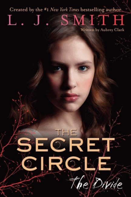 The Secret Circle: The Divide (Secret Circle, 4, Band 4) Horror & Mystery