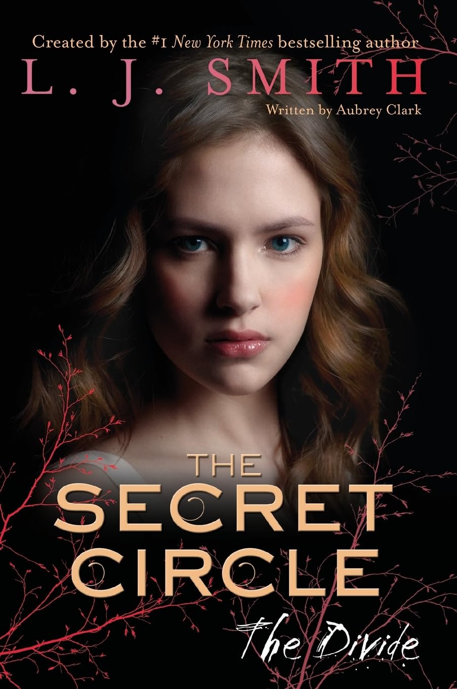 The Secret Circle: The Divide: The Divide, The (Secret Circle, 4) Horror & Mystery
