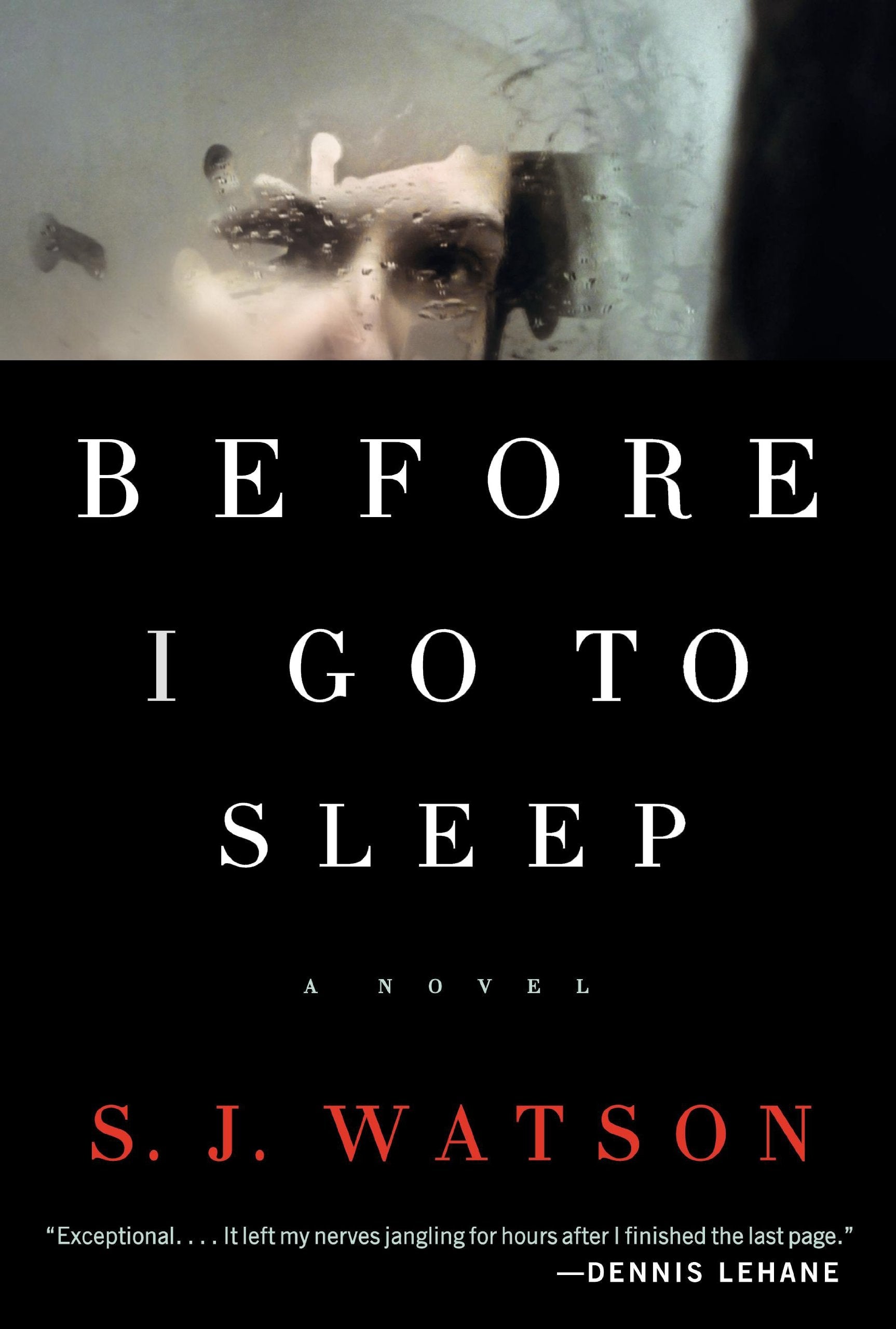 Before I Go To Sleep Books