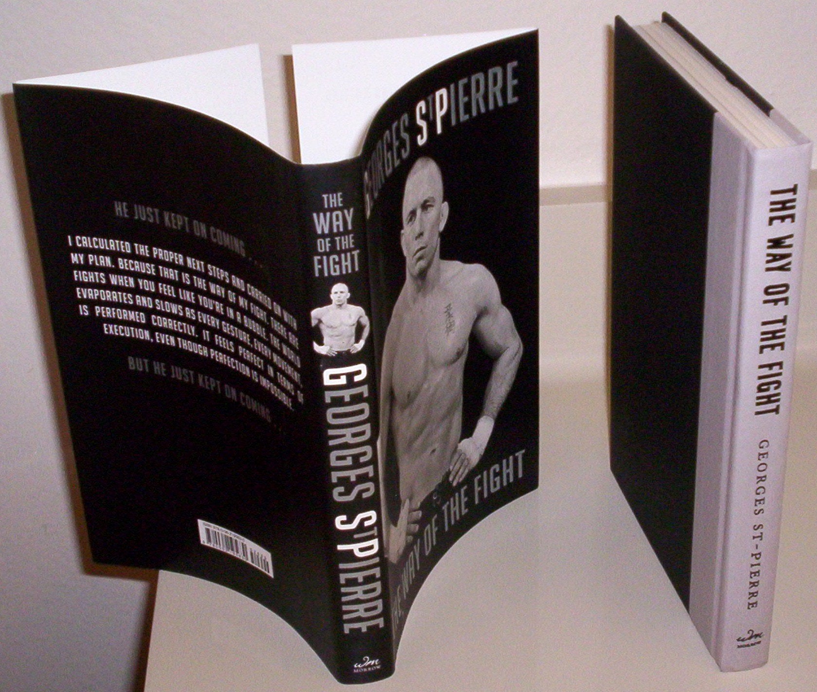 The Way of the Fight book