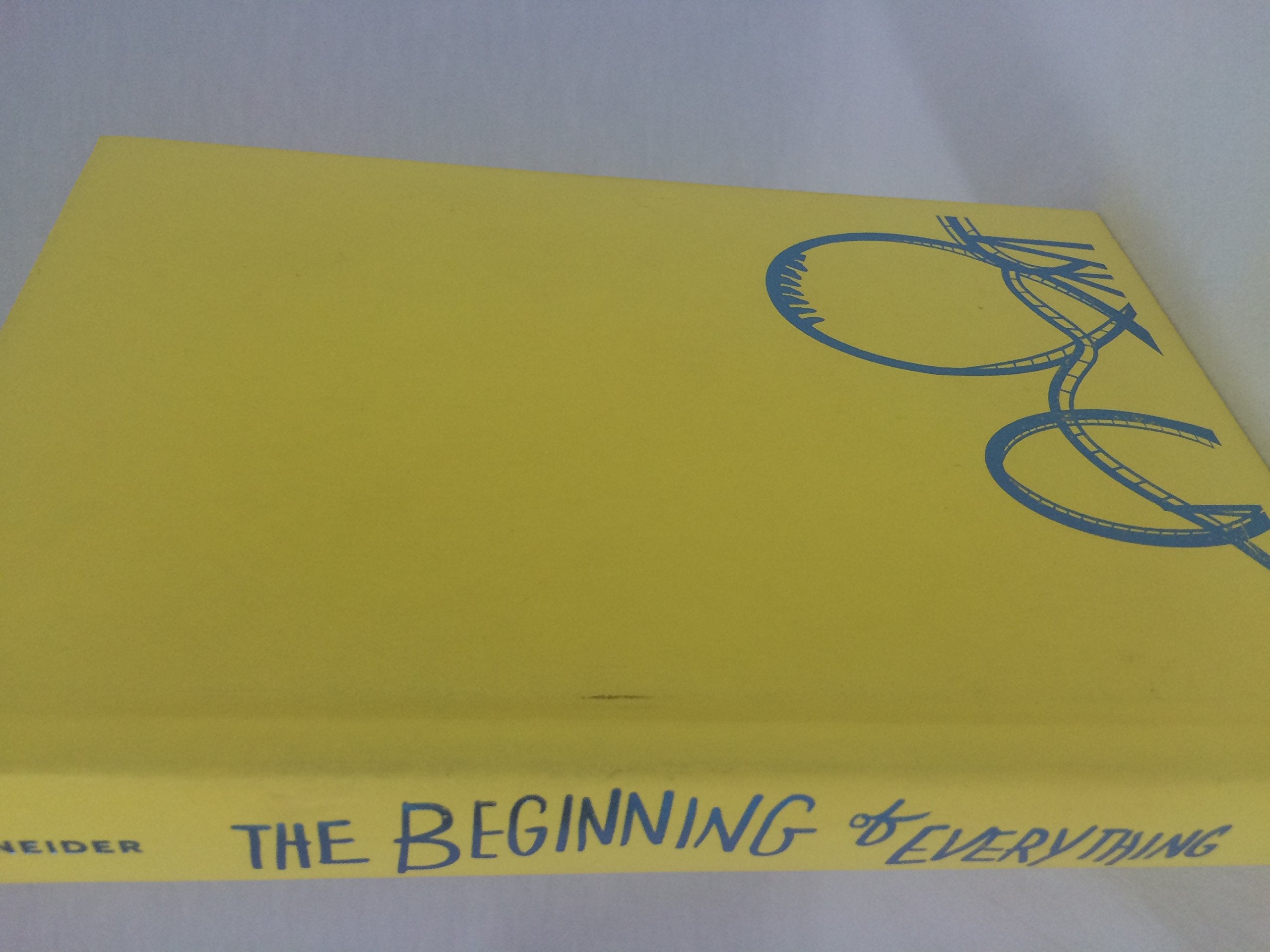 The Beginning of Everything Fiction