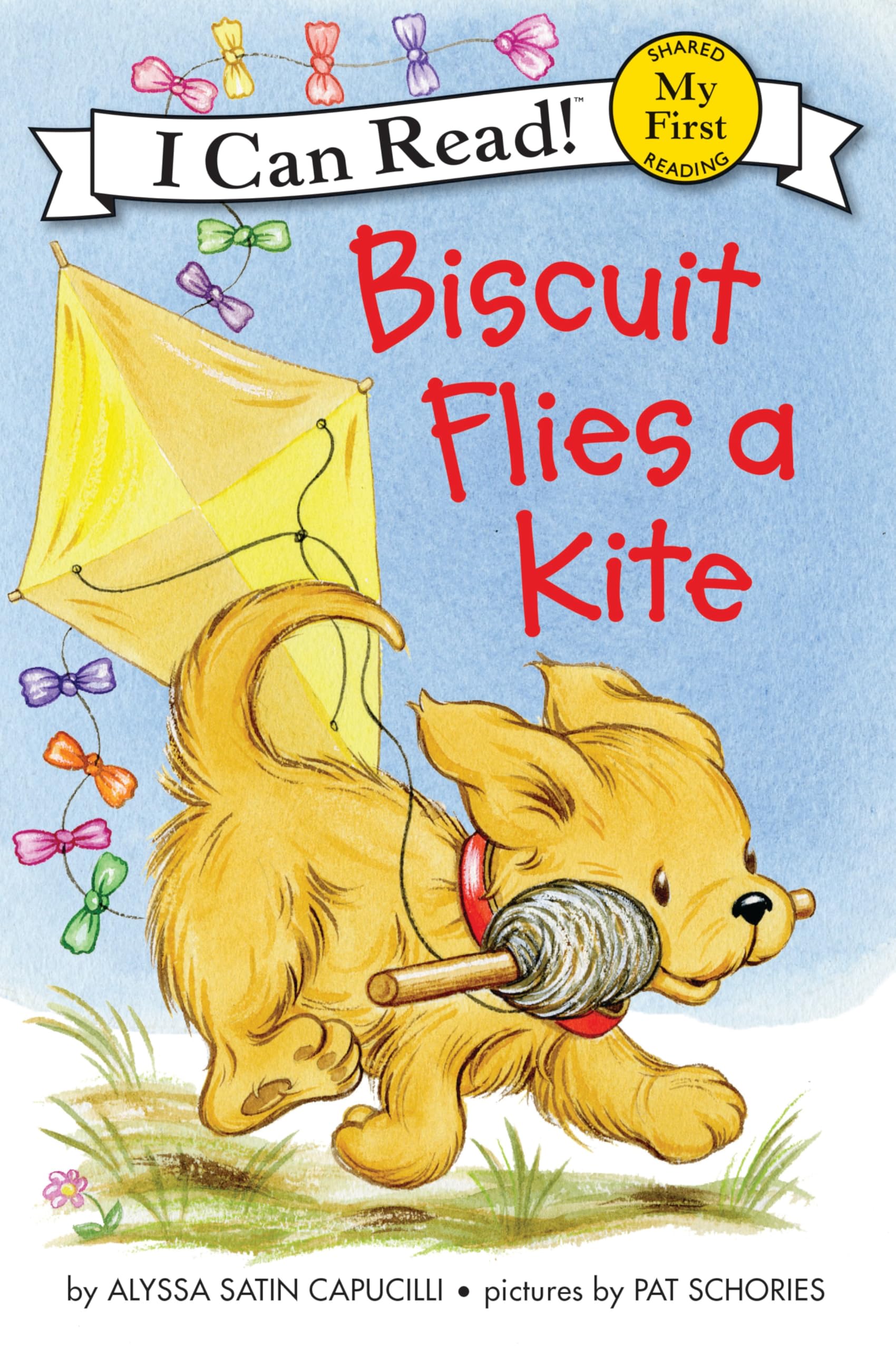 Biscuit Flies a Kite Leisure & Fun
