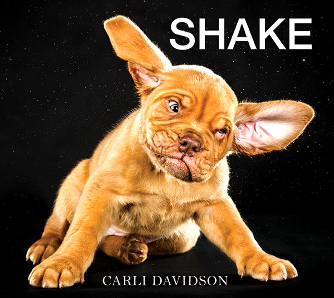 Shake: A Beguiling and Heartwarming Collection of Candid Dog Photography―Startling Mid-Shake Moments Film, Art & Culture