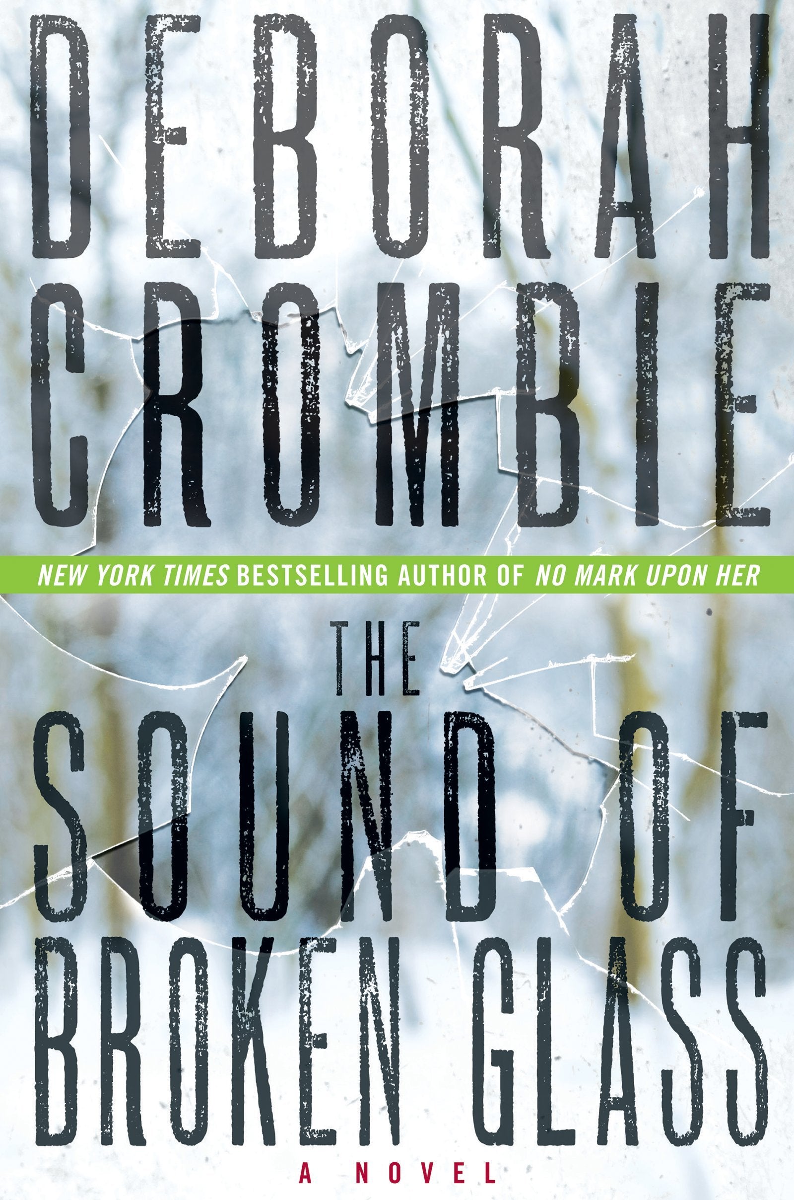 The Sound of Broken Glass: A Novel (Duncan Kincaid/Gemma James Novels, Band 15) Detective & CSI