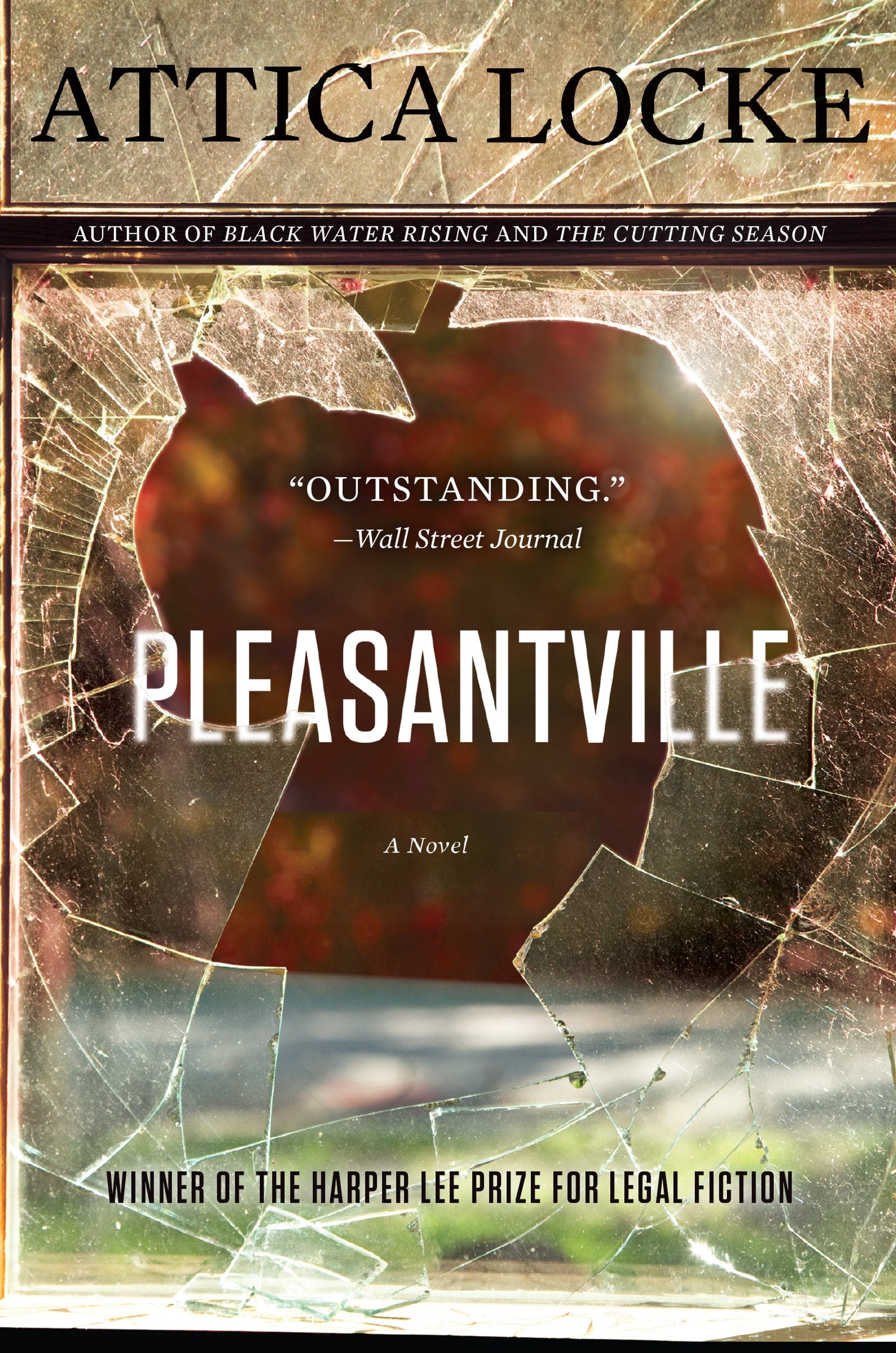 Pleasantville: A Novel (Jay Porter Series, 2) Contemporary literature