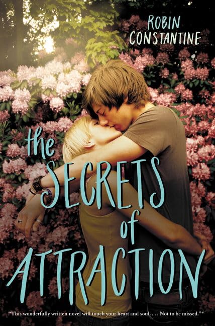 The Secrets of Attraction Fiction books for children