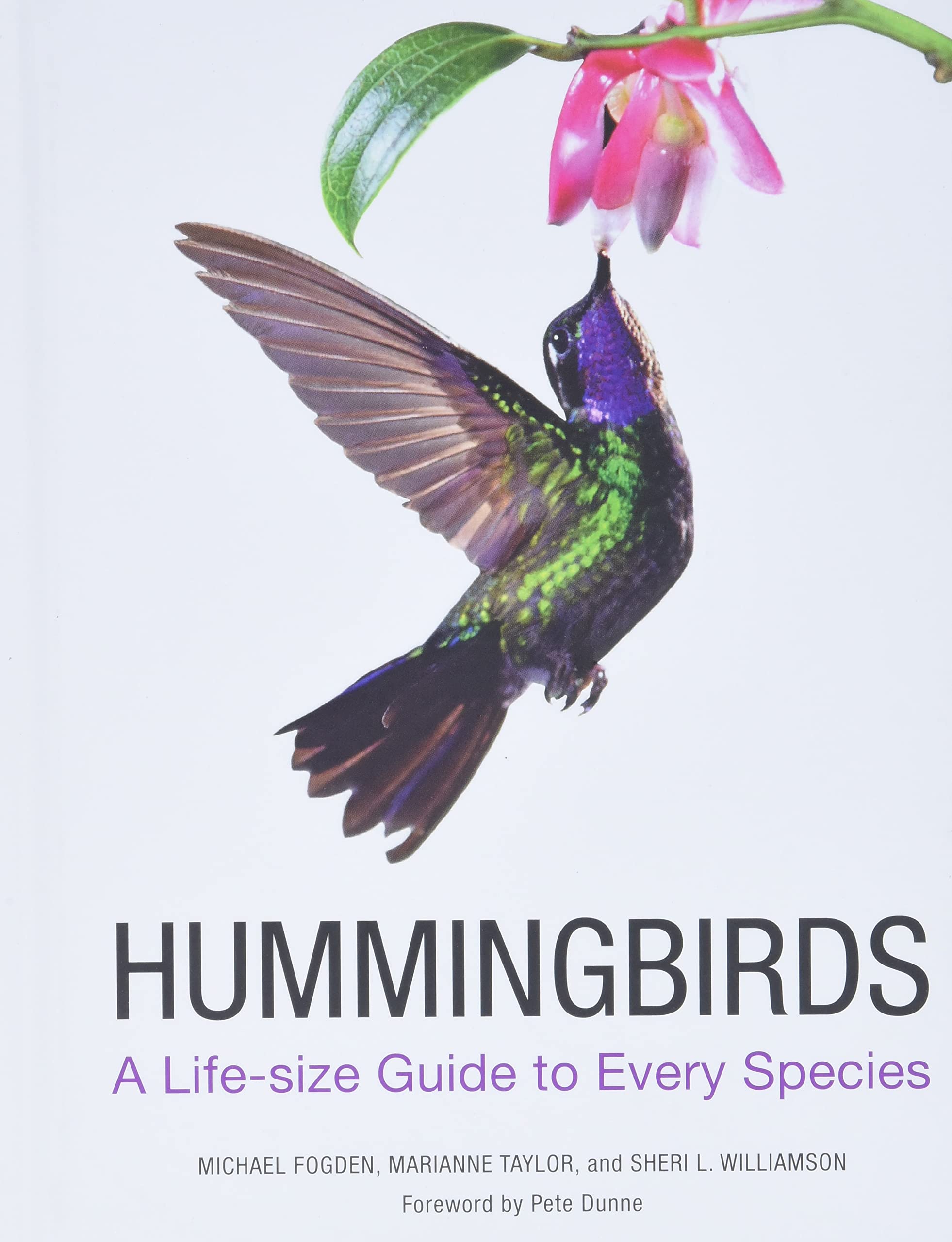 Hummingbirds: A Life-size Guide to Every Species Mathematics