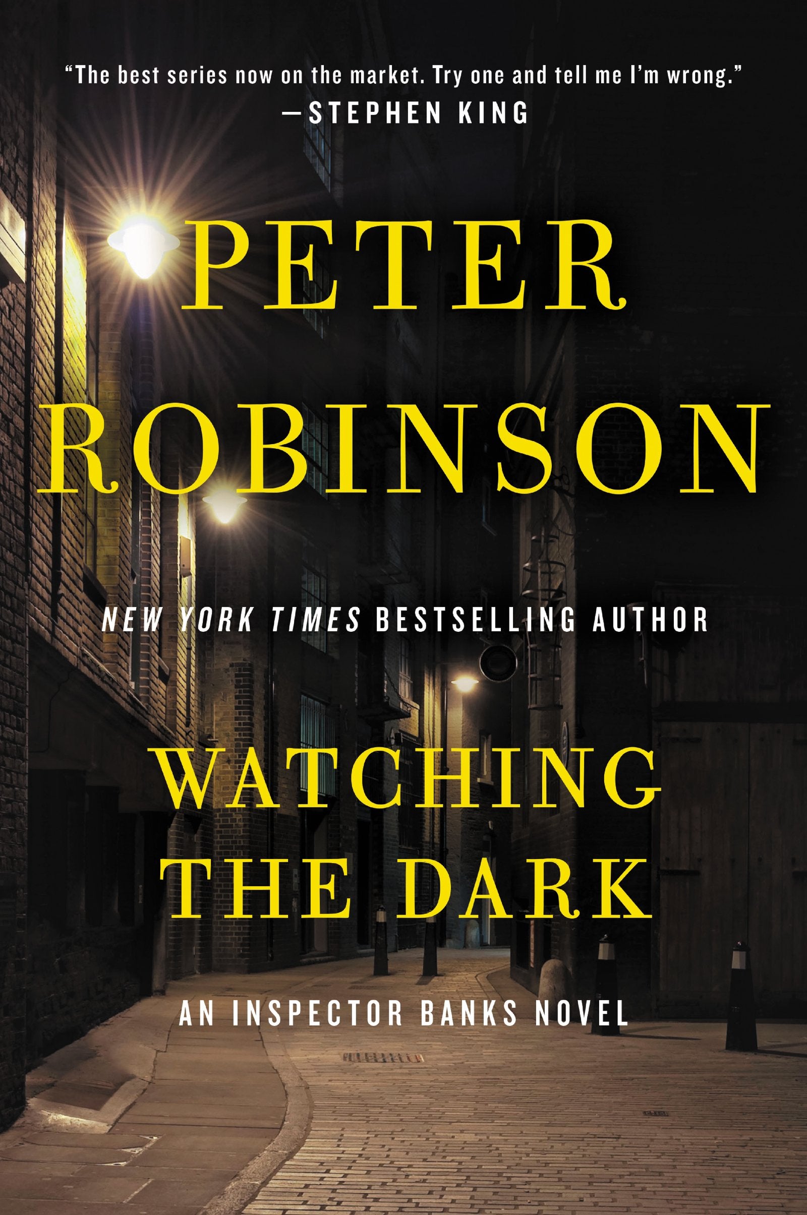 Watching the Dark: A Twisting International Detective Mystery Linking Murder to Dangerous Cold Case Secrets book