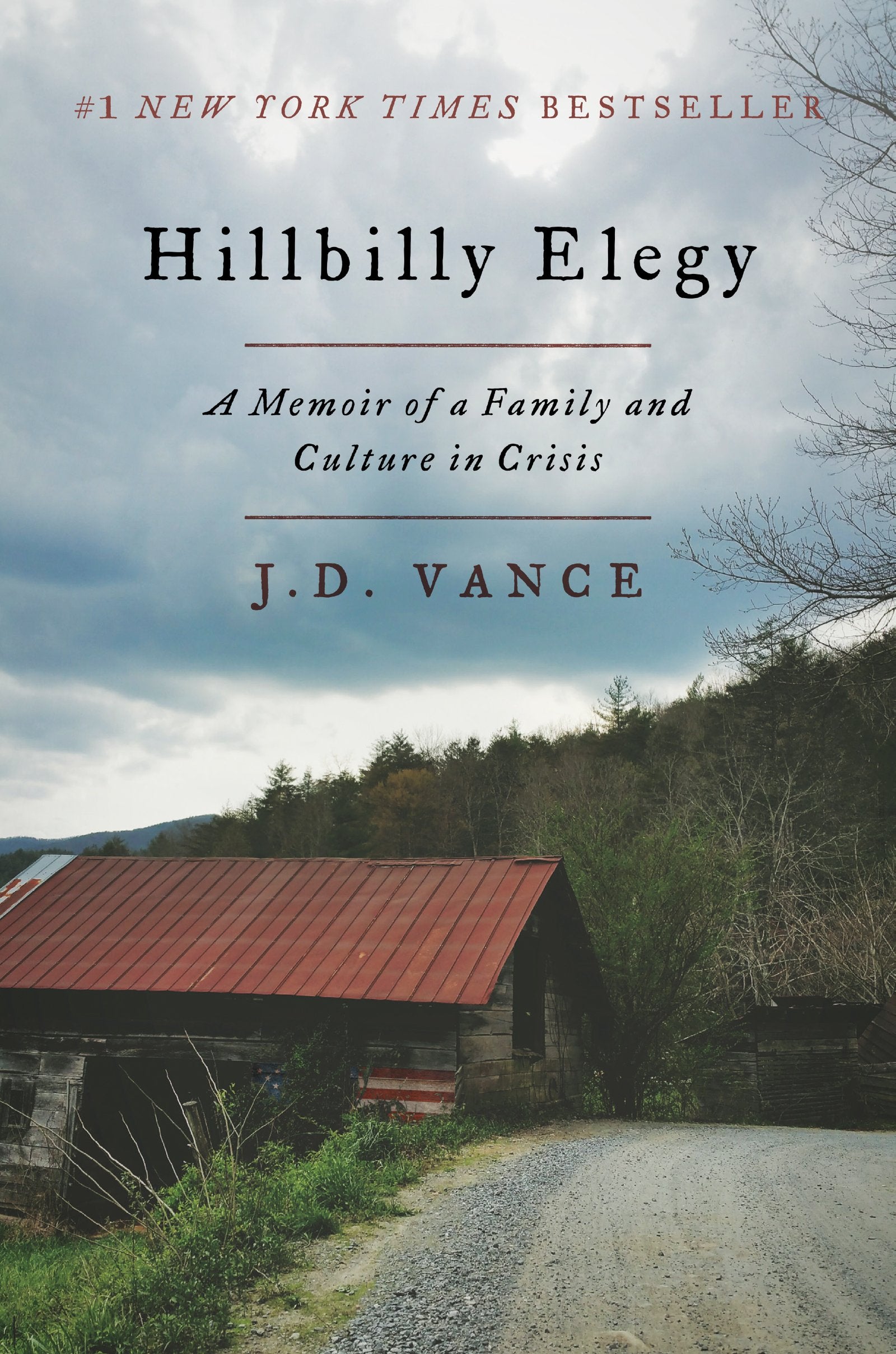 Hillbilly Elegy Partnership & Love