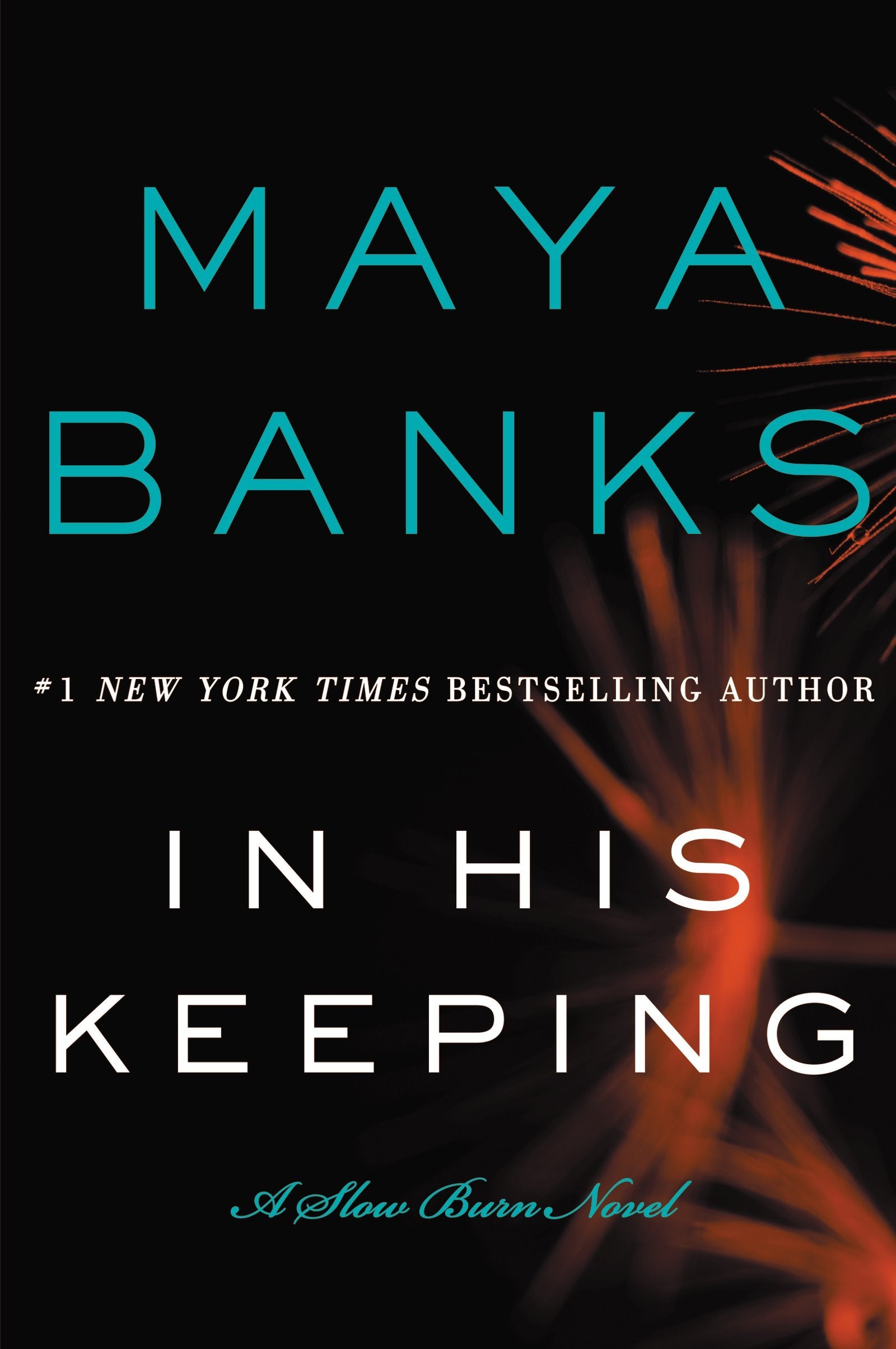 In His Keeping: A Slow Burn Novel (Slow Burn Novels, 2, Band 2) Contemporary literature
