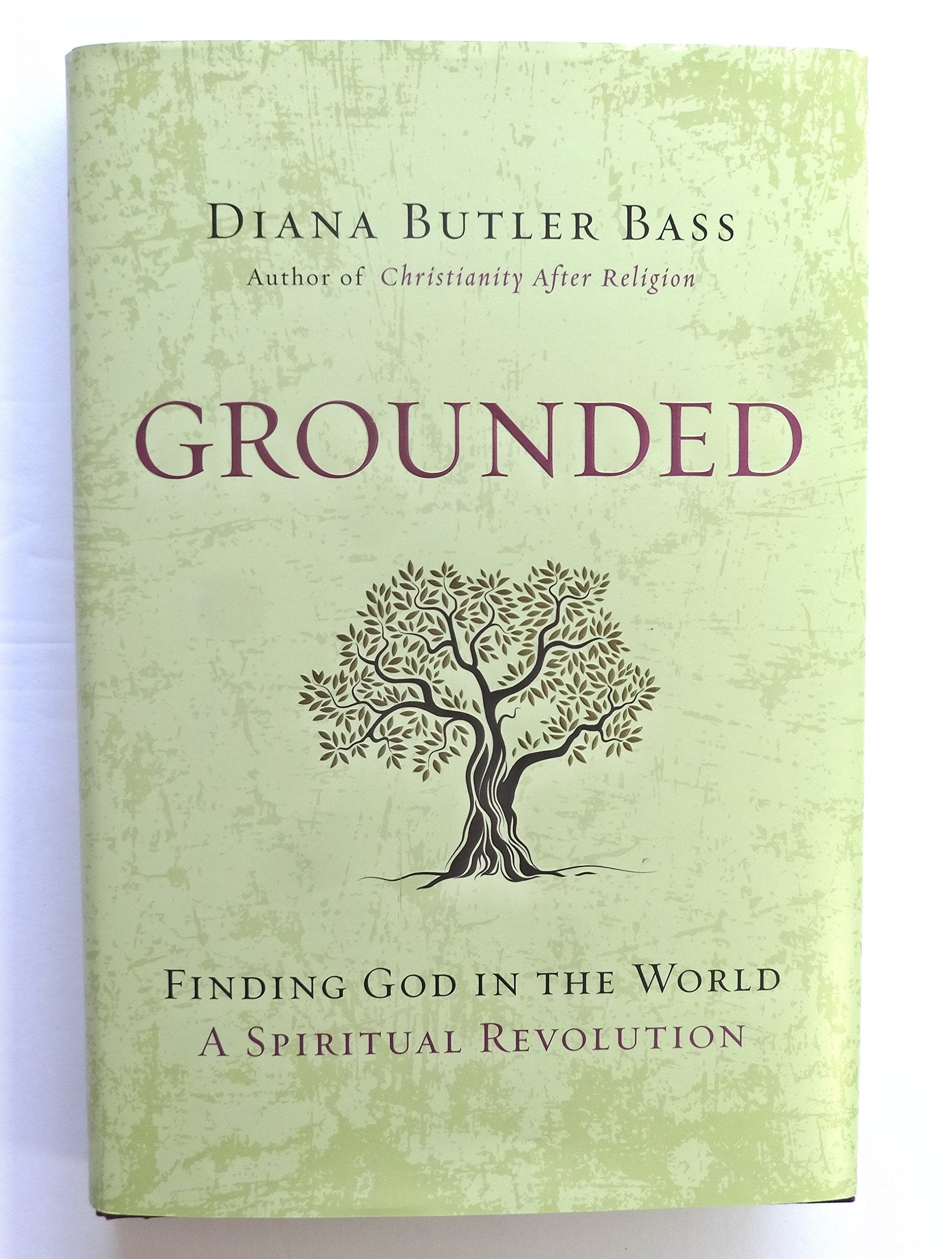 Grounded: Finding God in the World-A Spiritual Revolution Religion & Esotericism