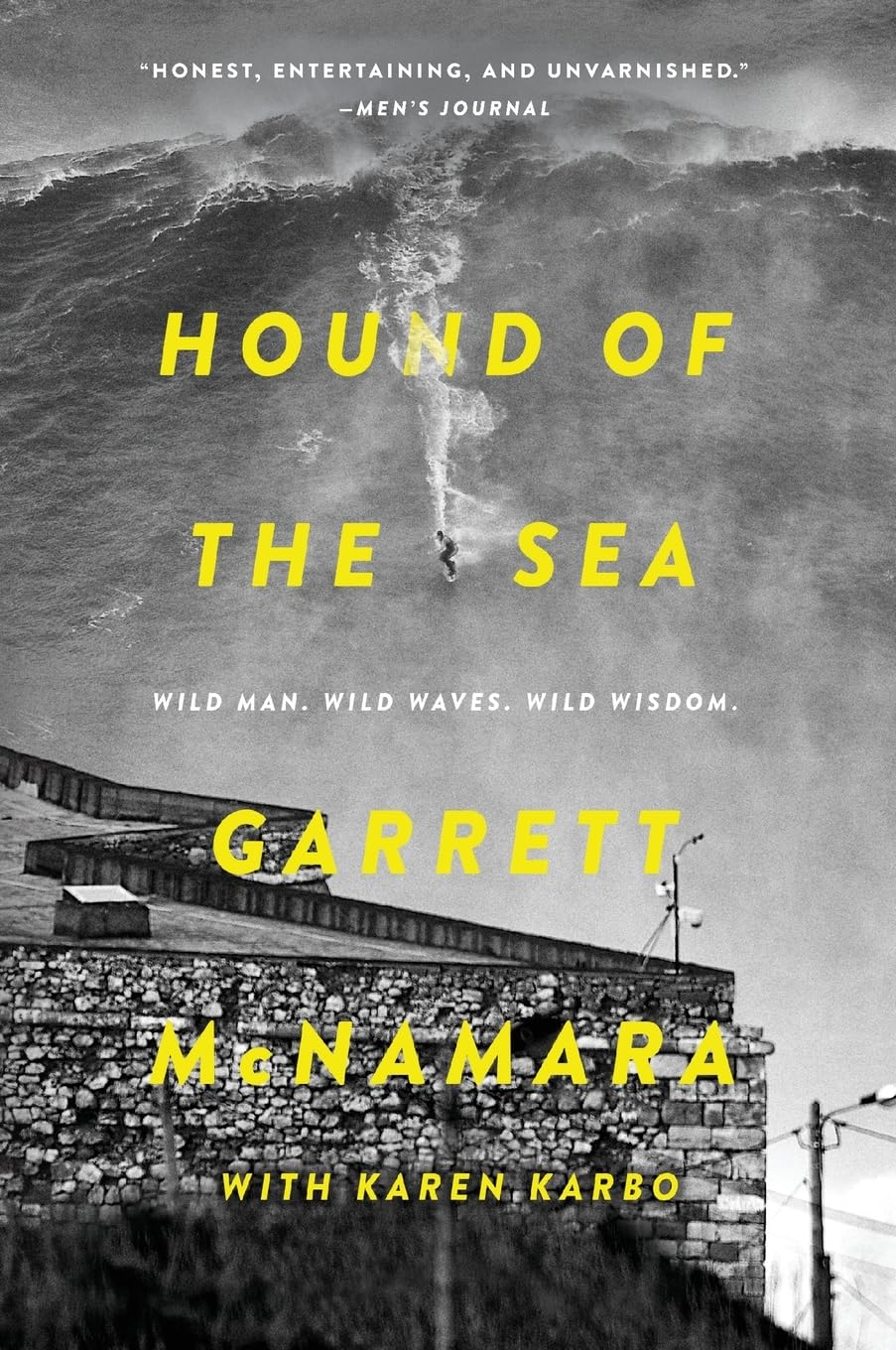 Hound of the Sea Art & Literature