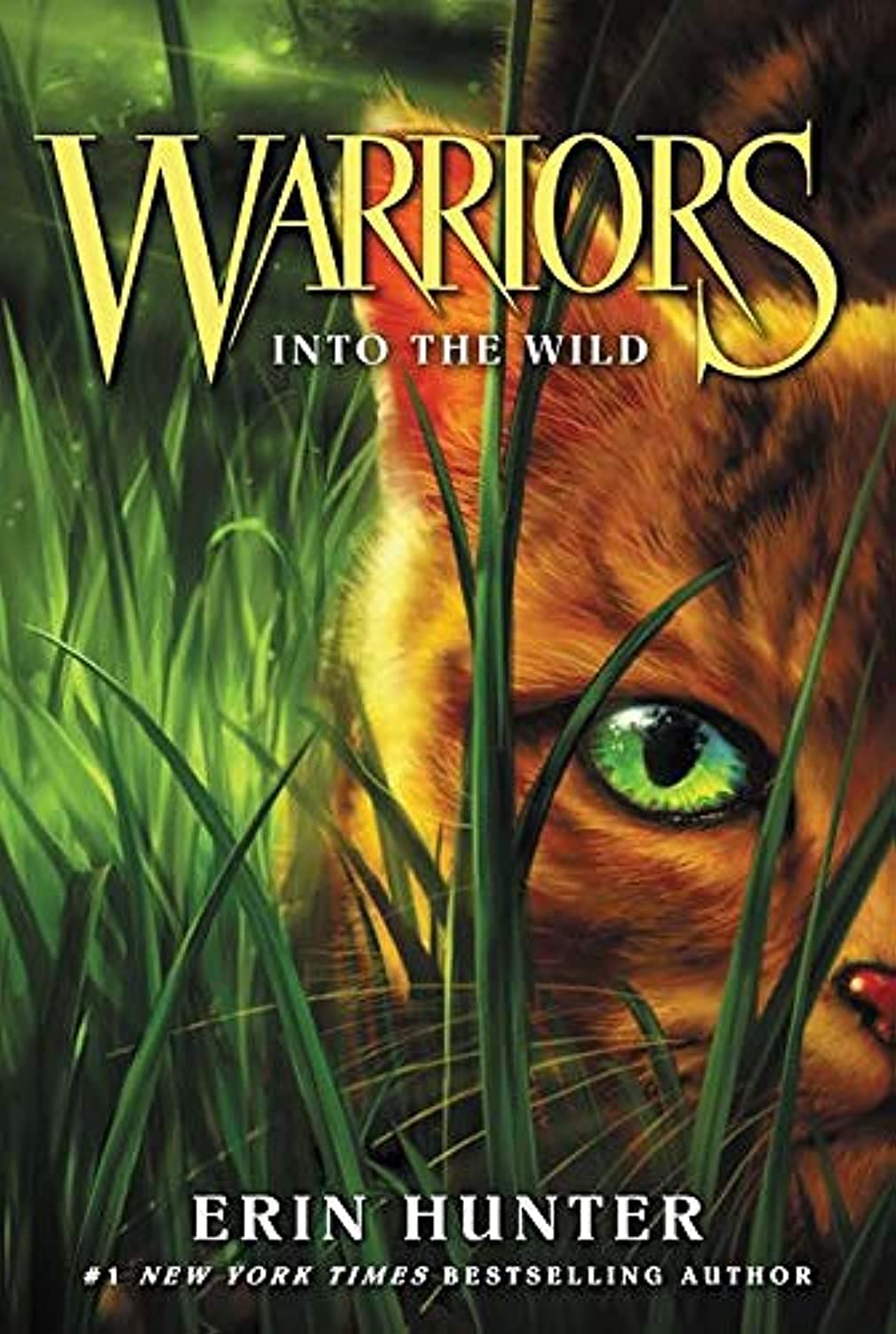 Product Image: Warriors 01: Into the Wild