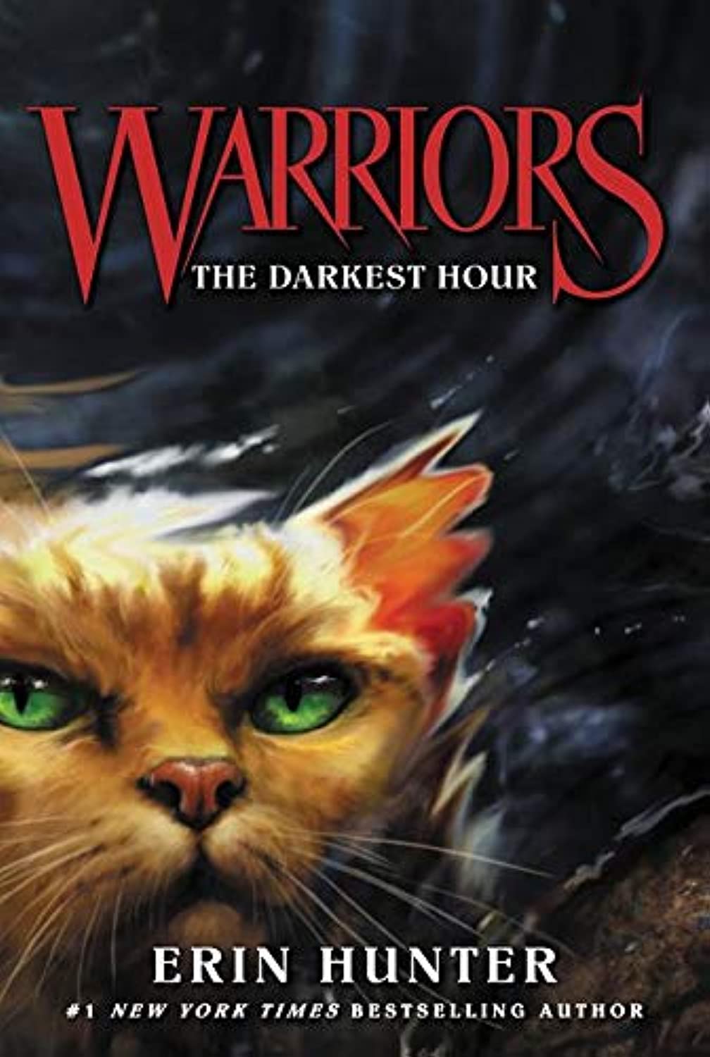 Warriors 06. The Darkest Hour Non-fiction books for kids