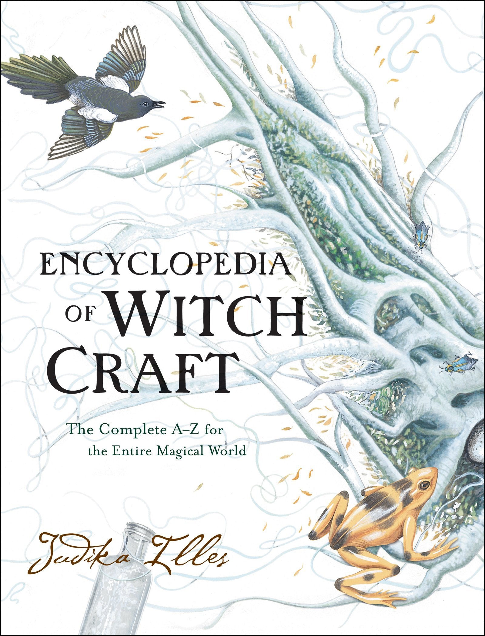 Encyclopedia of Witchcraft: The Complete A-Z for the Entire Magical World (Witchcraft & Spells) Philosophy