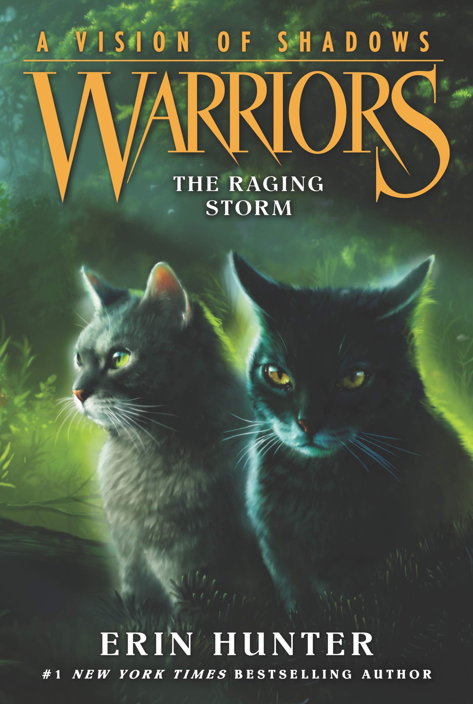 Warriors: A Vision of Shadows #6: The Raging Storm Non-fiction