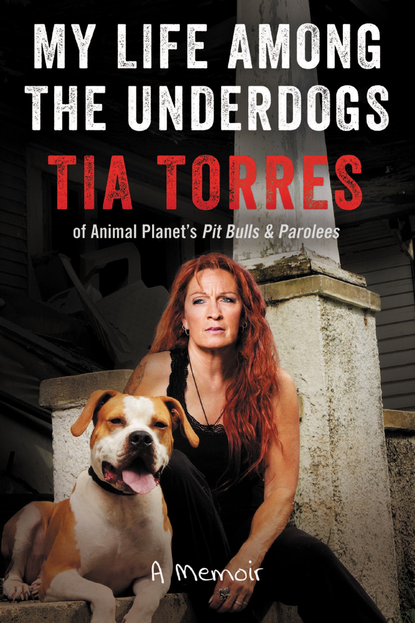 My Life Among the Underdogs: A Memoir Books