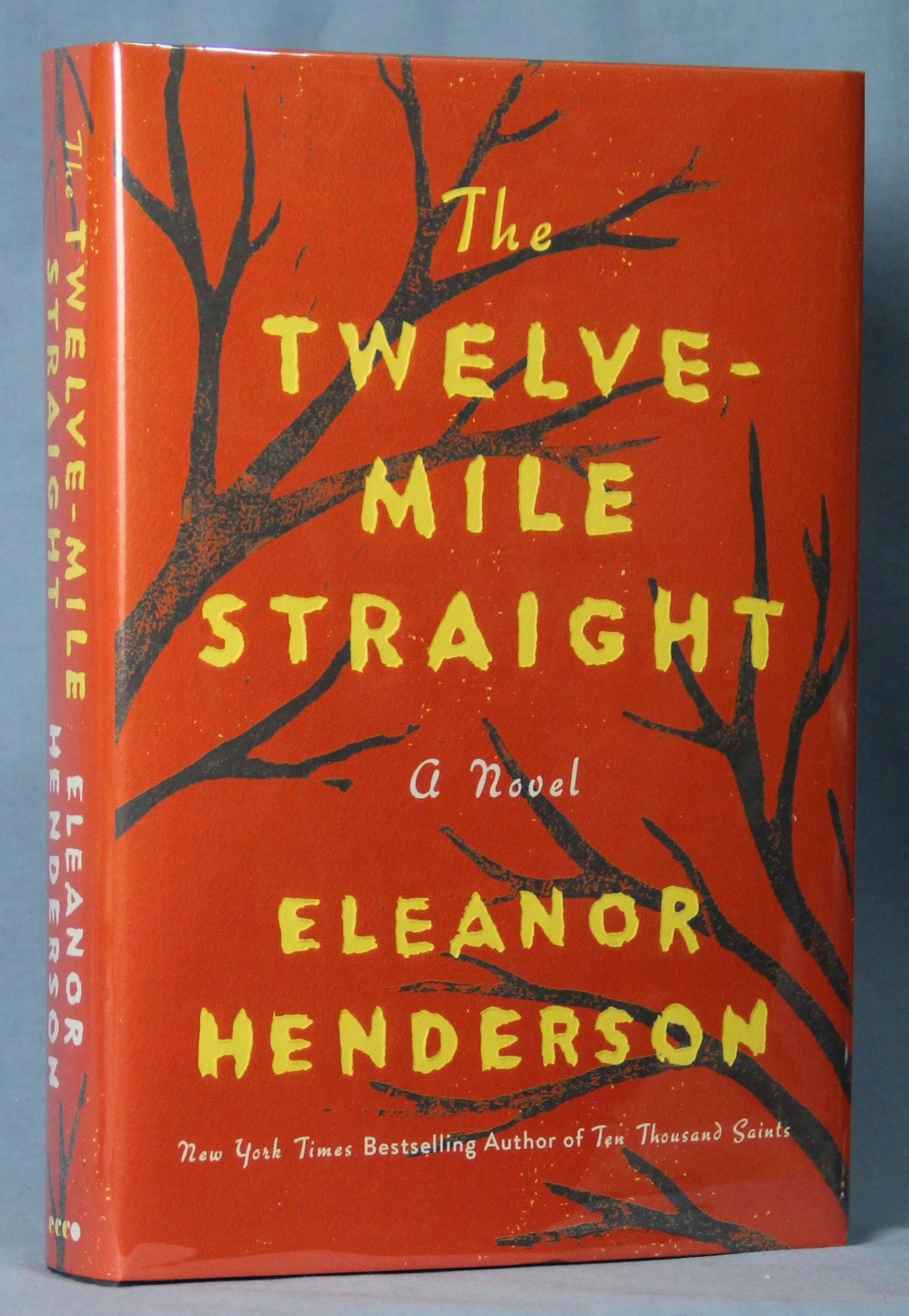 The Twelve-Mile Straight: A Novel book