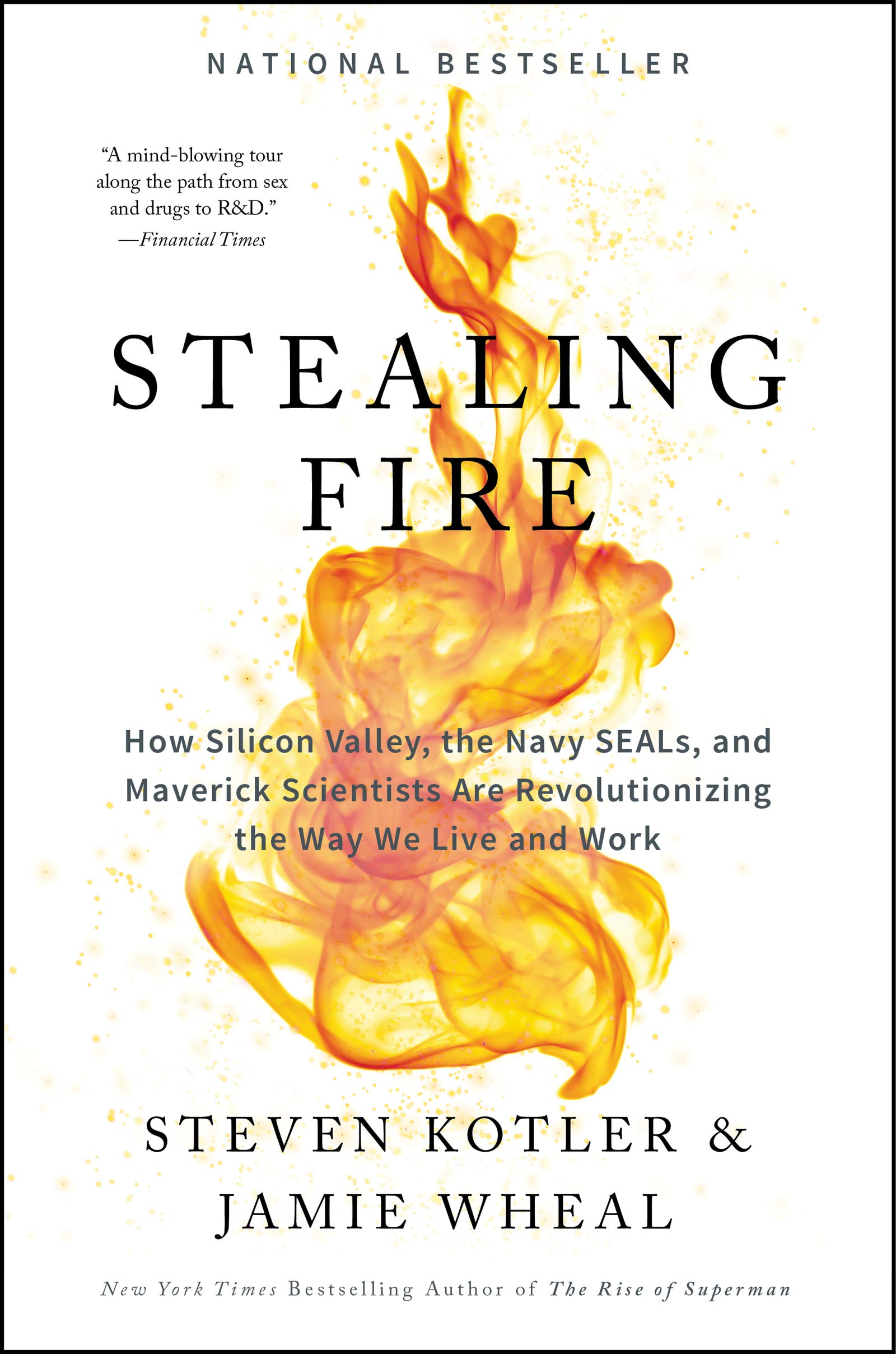 Stealing Fire Business, Finance & Career
