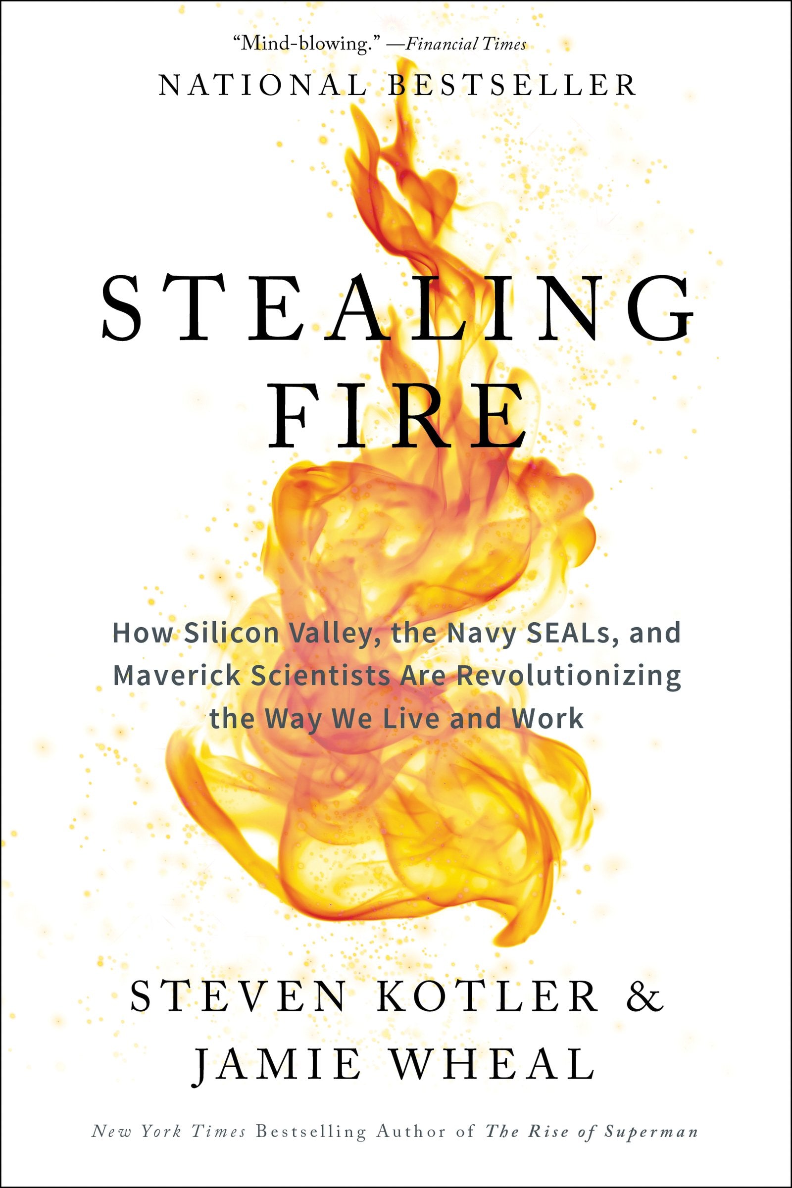 Stealing Fire Business, Finance & Career