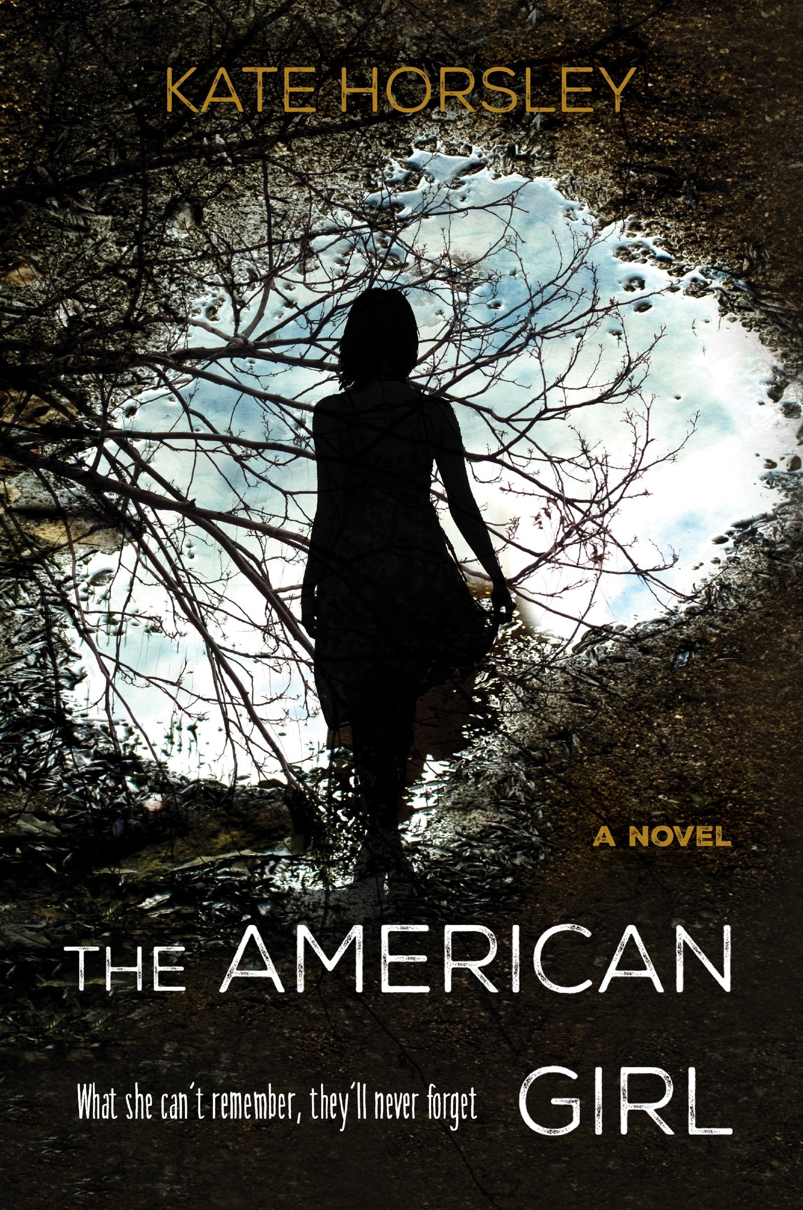 The American Girl: A Novel Poetry