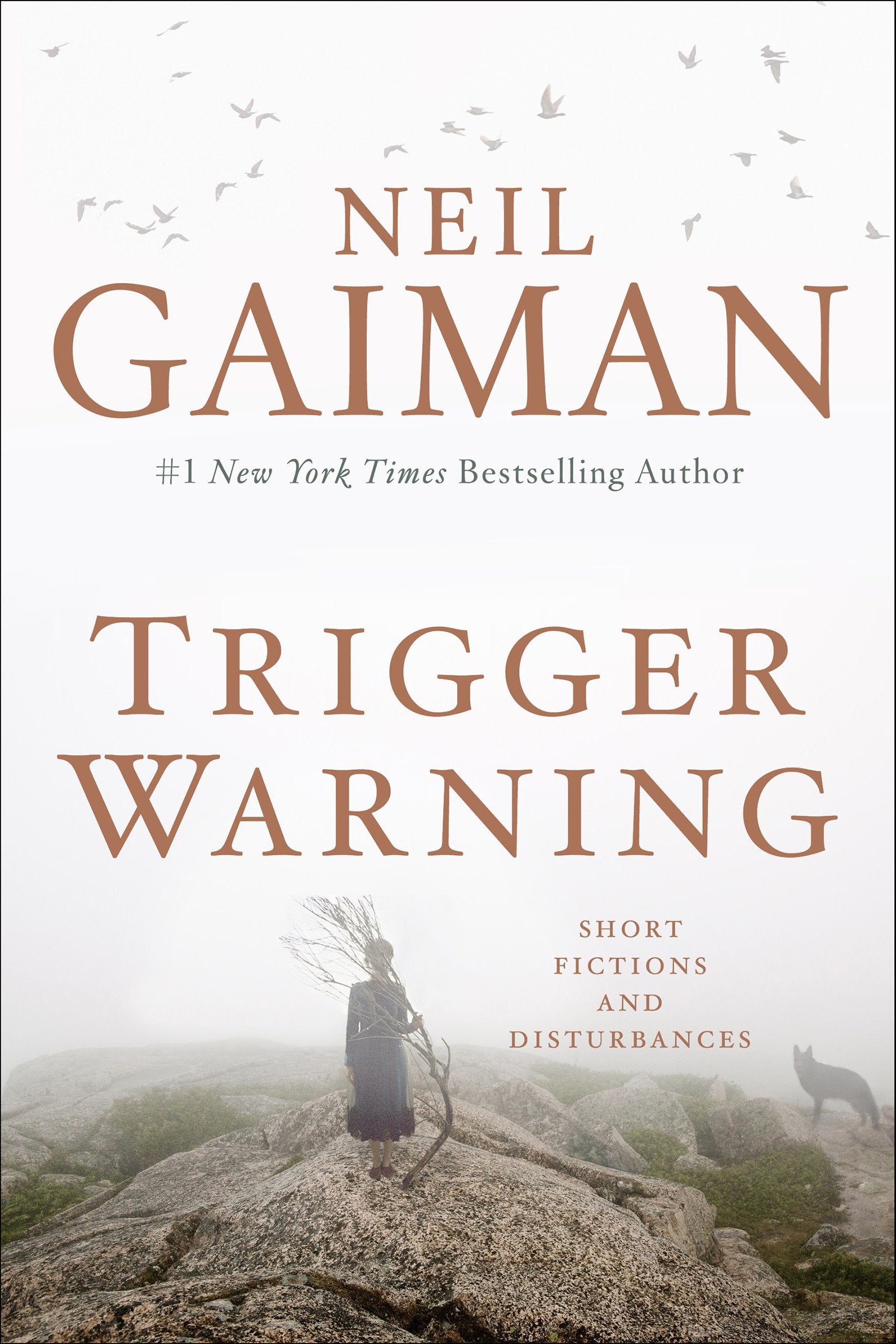 Trigger Warning Contemporary literature Books