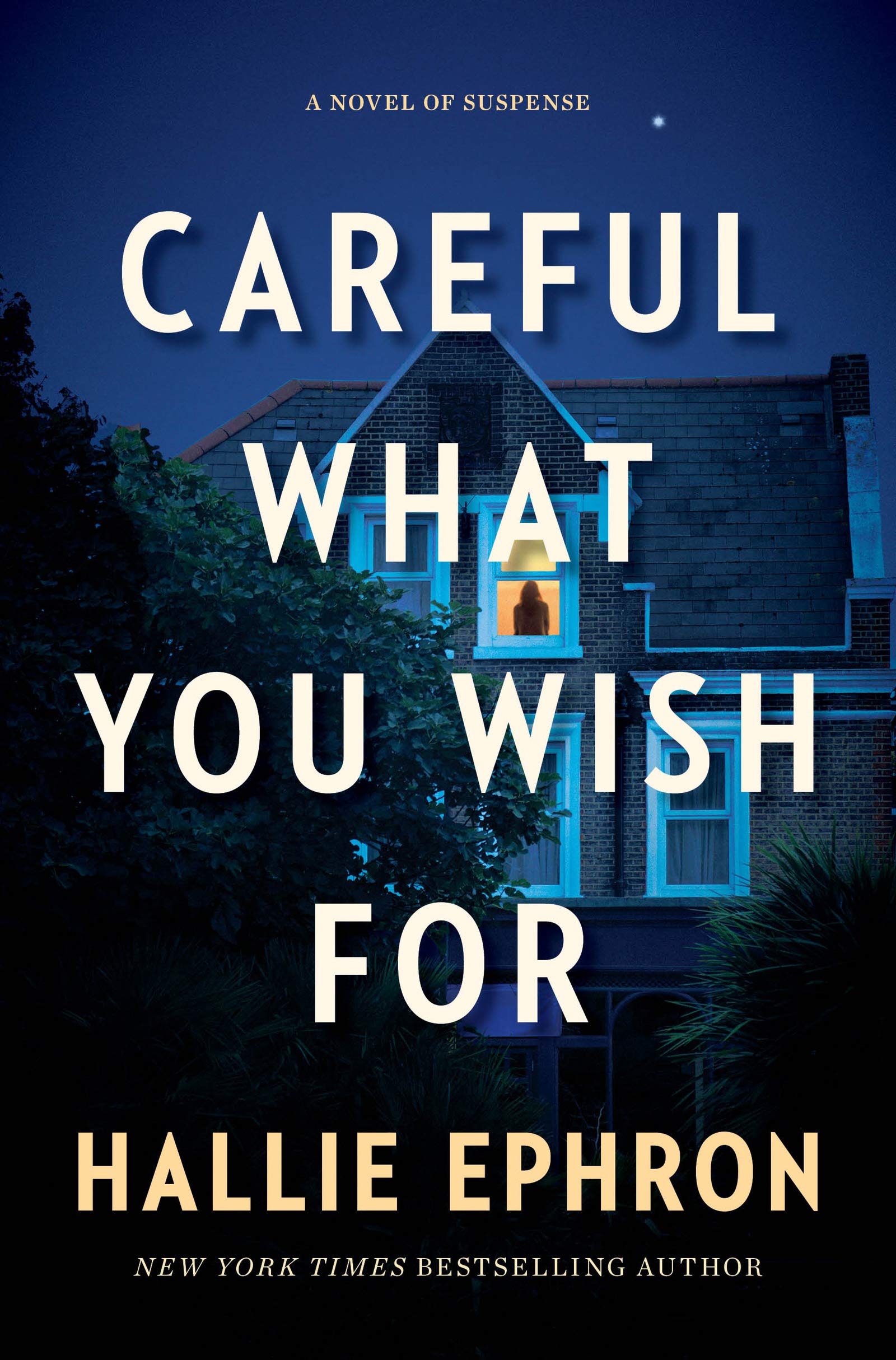 Careful What You Wish For: A Novel of Suspense Poetry
