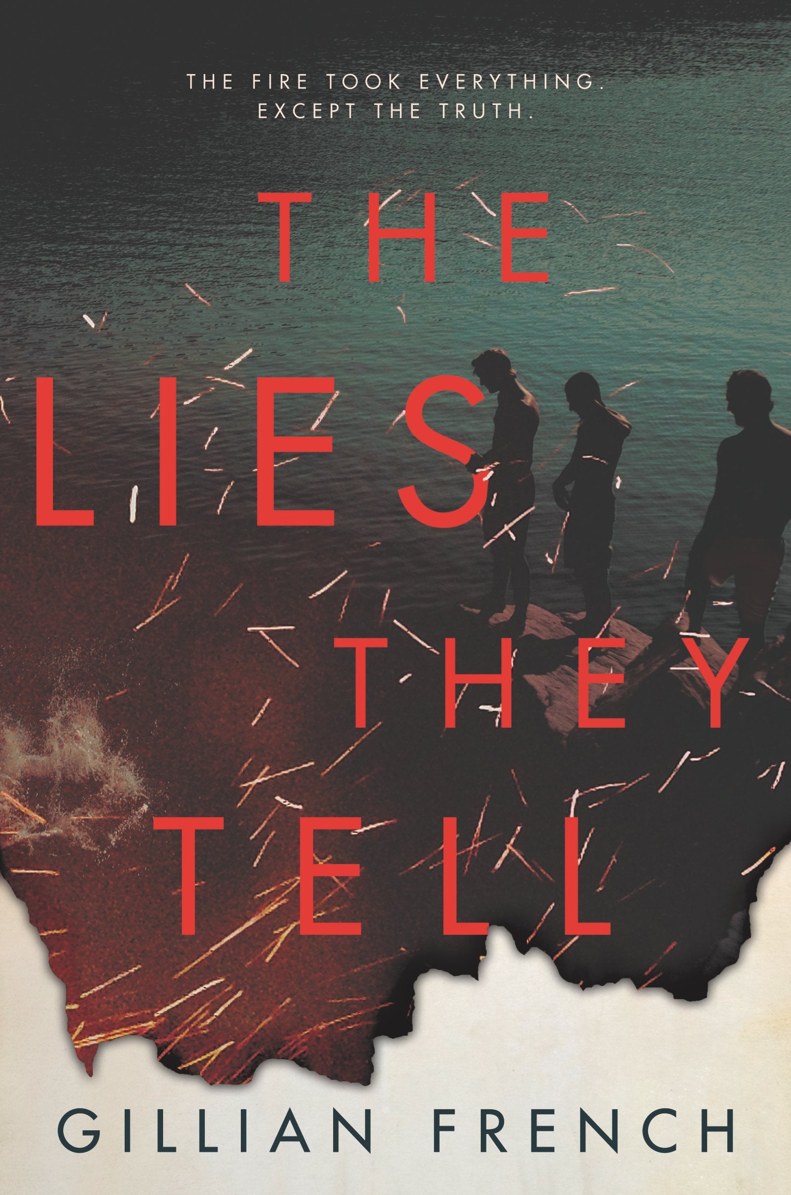 The Lies They Tell book
