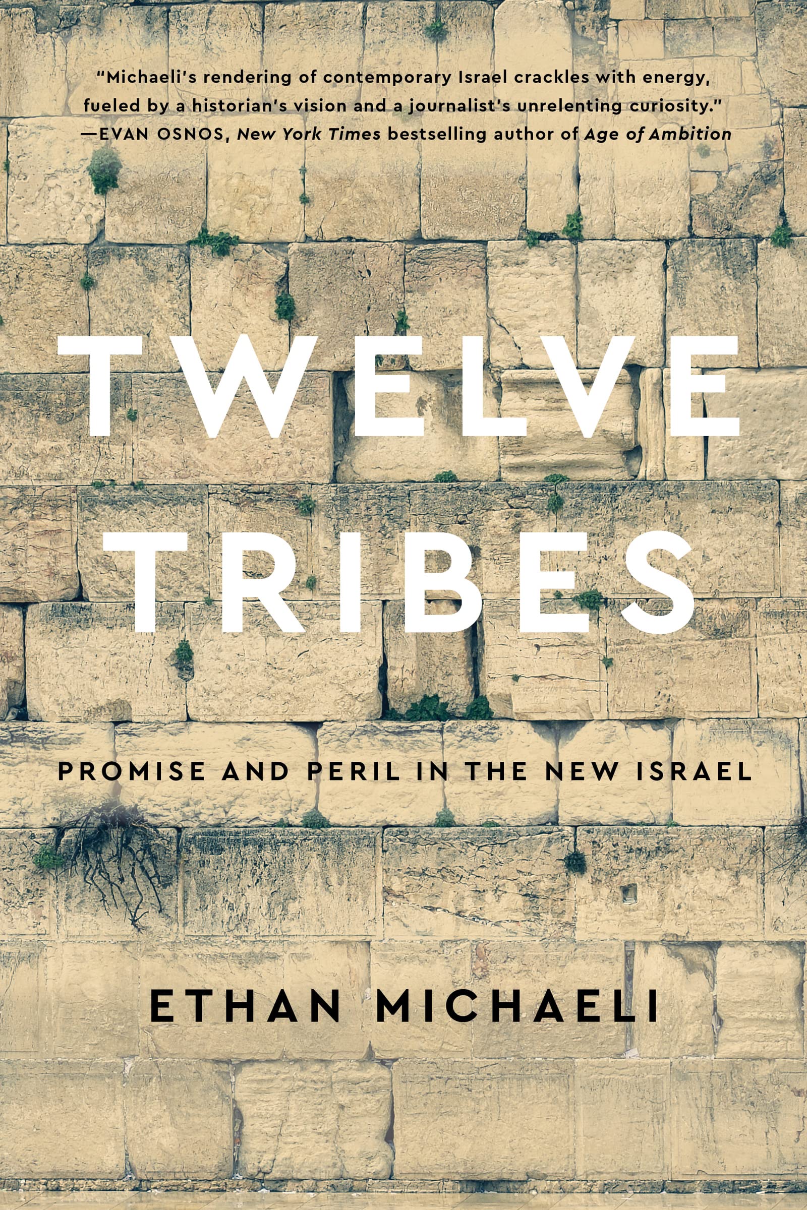 Twelve Tribes: Promise and Peril in the New Israel Books