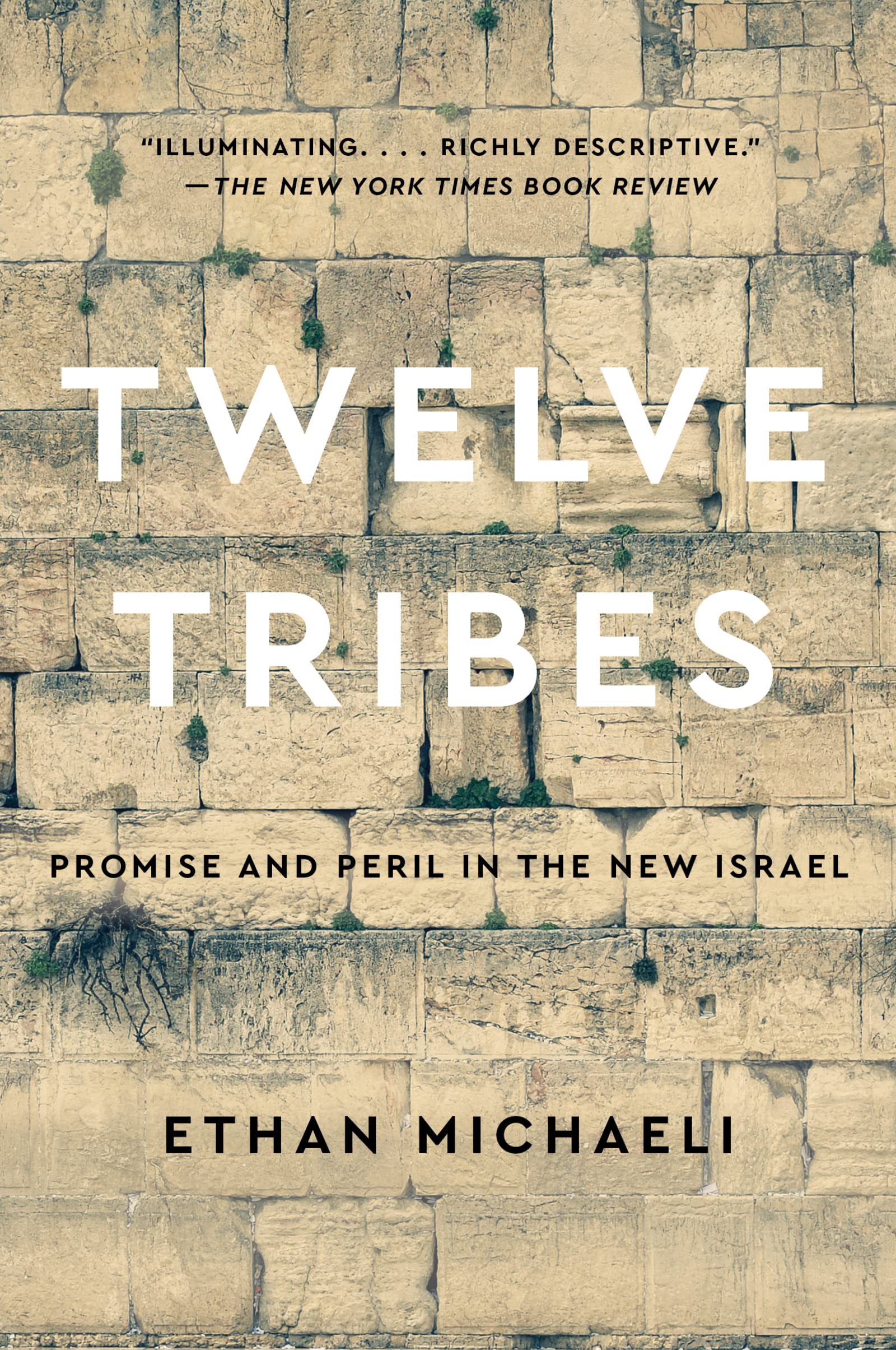 Twelve Tribes: Promise and Peril in the New Israel Religion & Esotericism