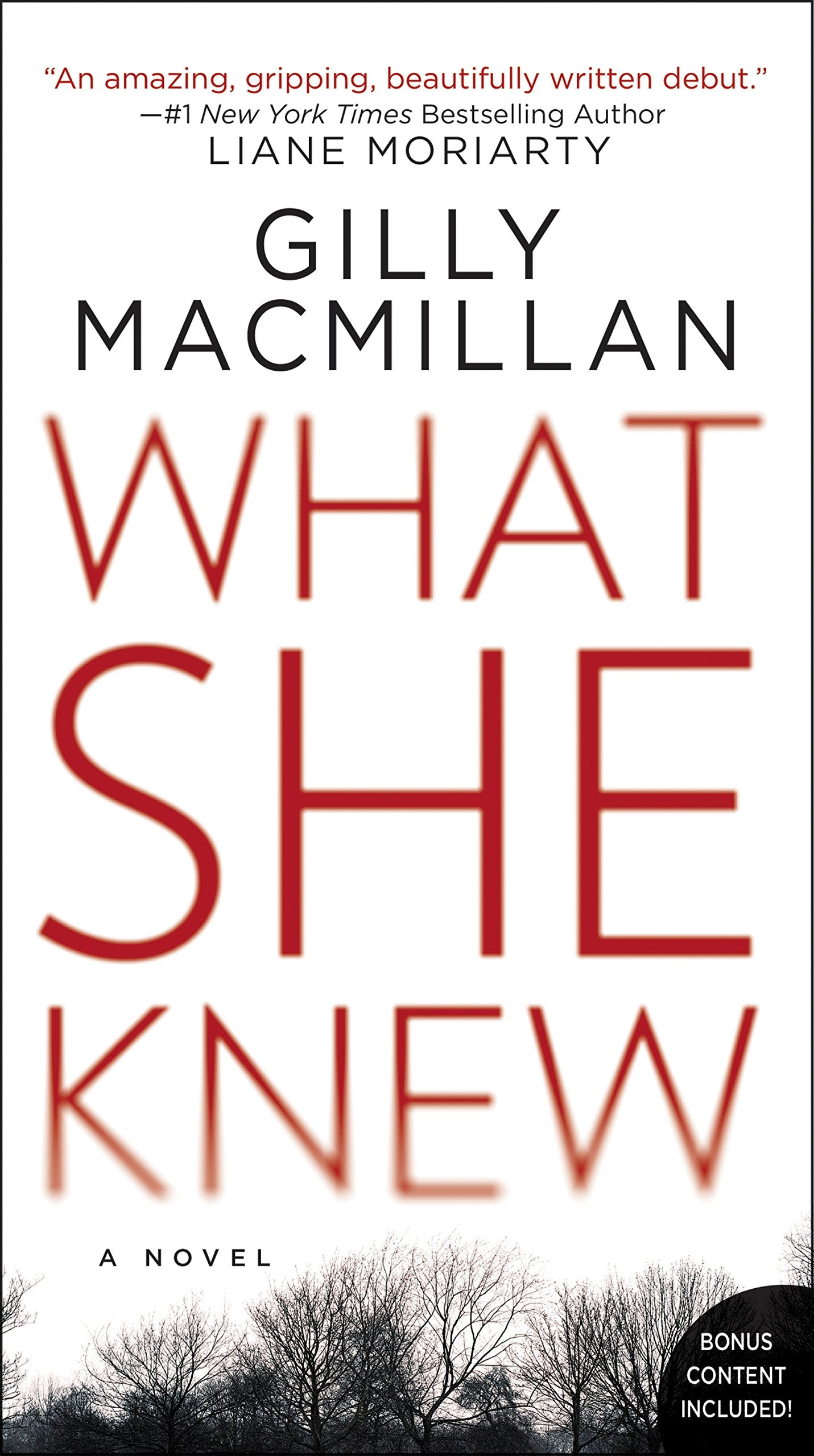 What She Knew: A British Domestic Thriller Where Kidnapping Reveals Deadly Family Secrets Contemporary literature